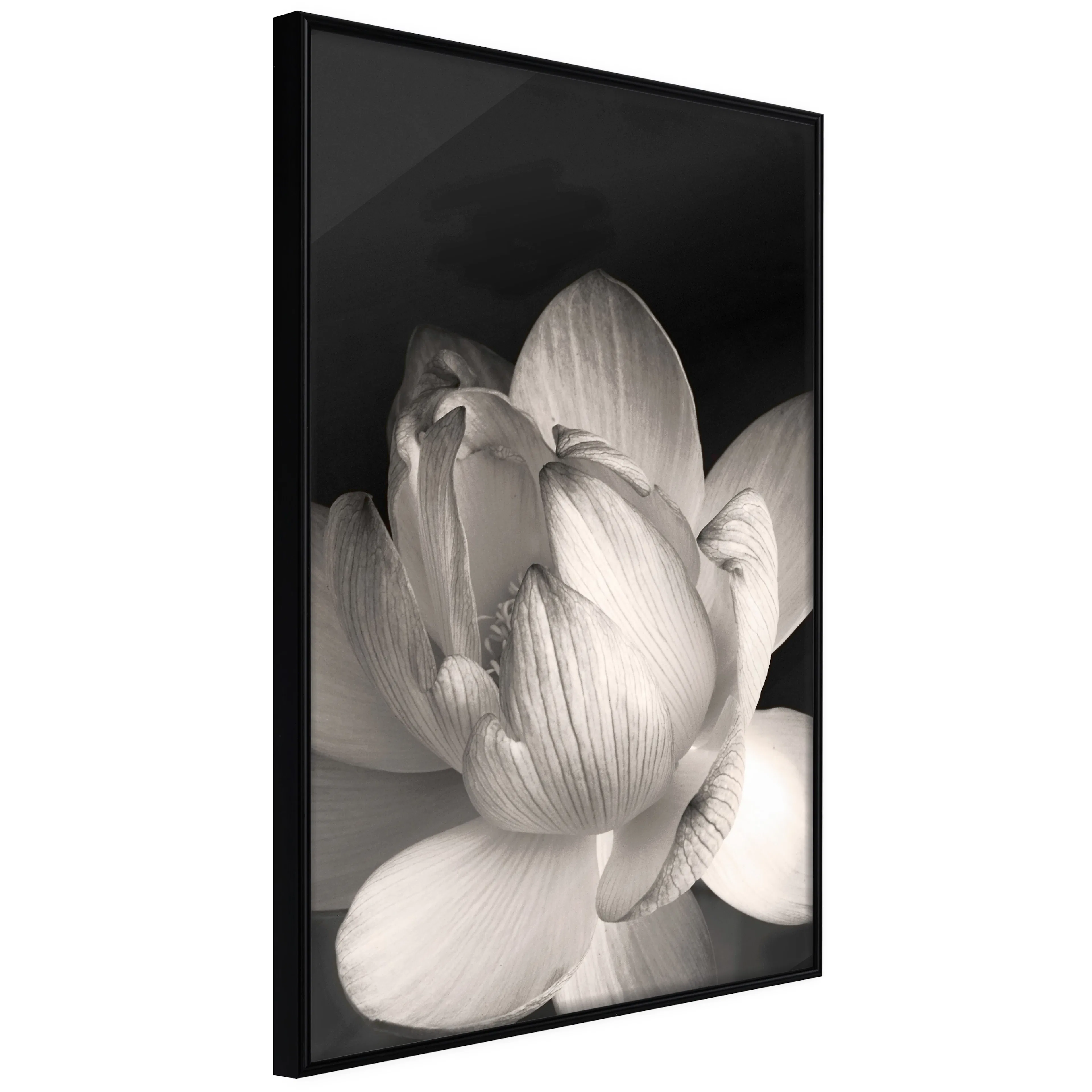 Affisch - White Subtlety [Poster] 40x60 Svart ram, 40x60 cm