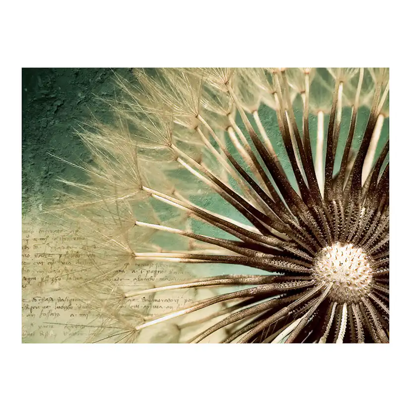Fototapet Arkiio Focus On Dandelion