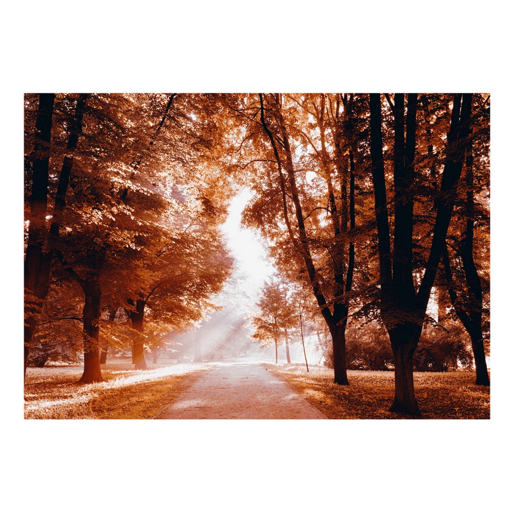 Självhäftande fototapet - Autumn Park 343x245 Storlek: 343x245 cm