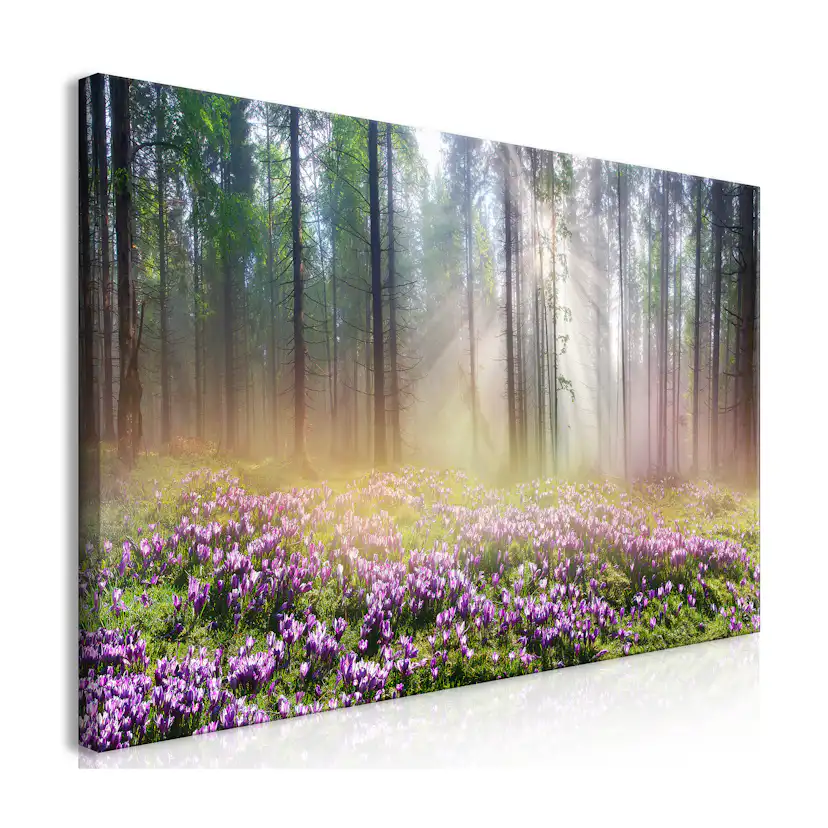 Tavla Arkiio Purple Meadow