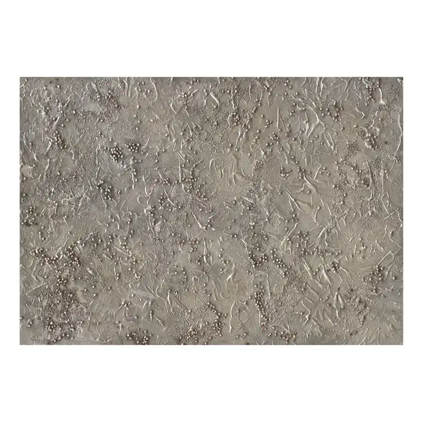 Fototapet Arkiio Silver Serenade