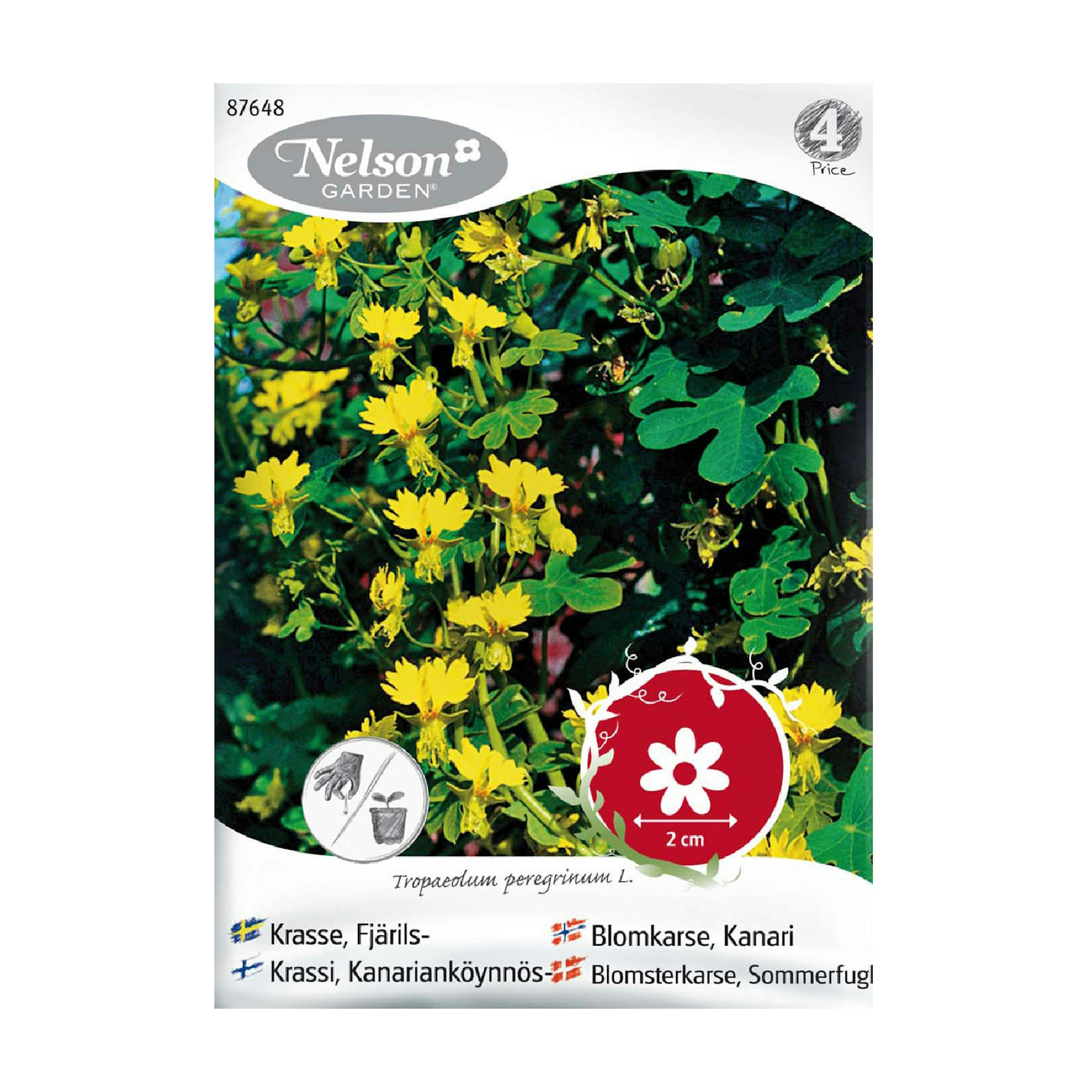 Frö Fjärilskrasse Nelson Garden gul