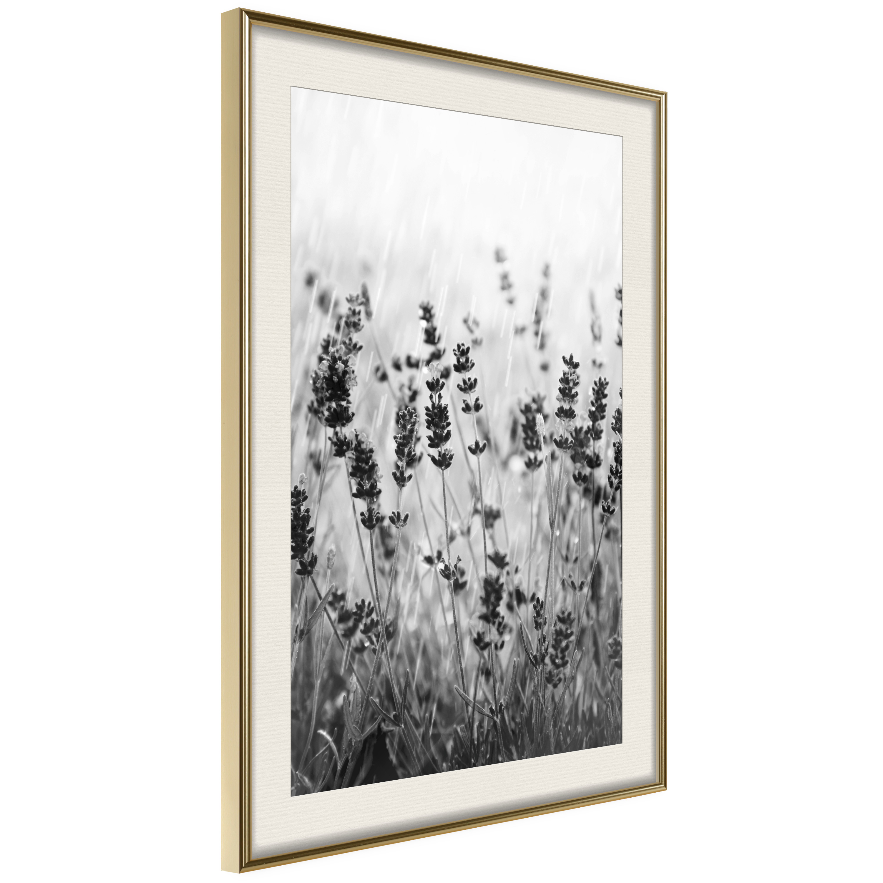 Poster Artgeist Affisch Lavender in the Rain