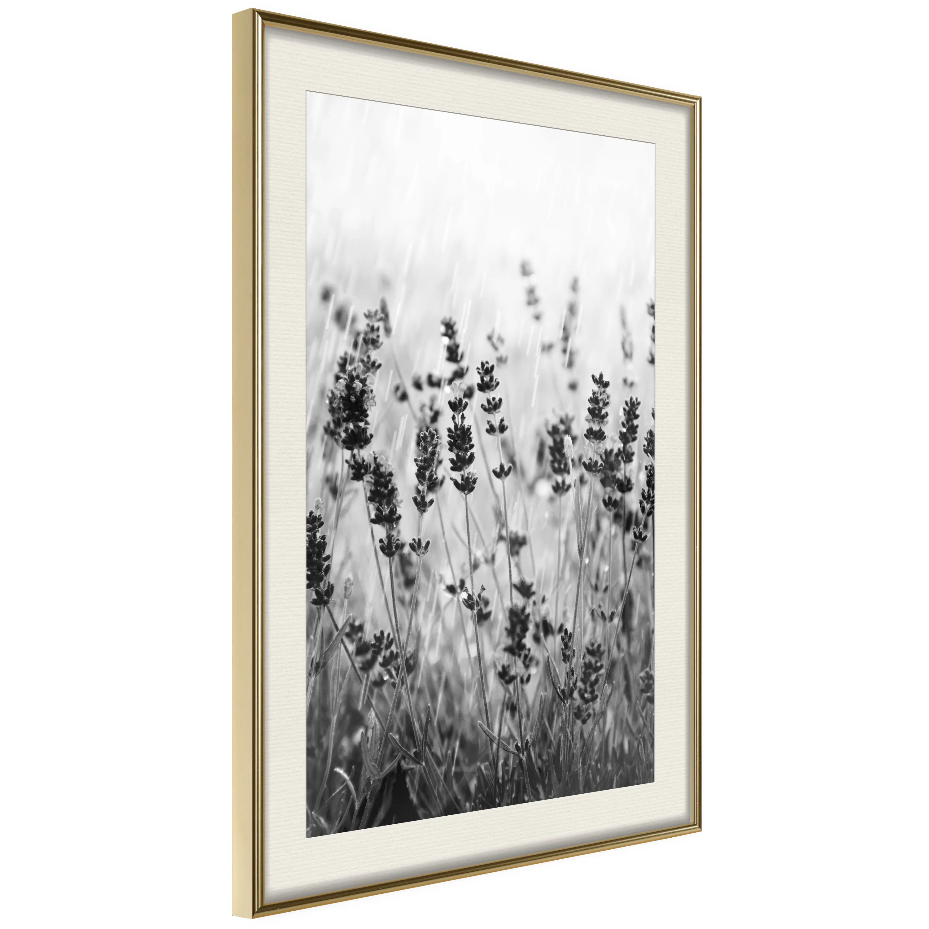 Poster Artgeist Affisch Lavender in the Rain