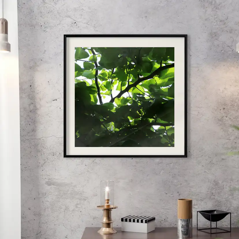 Poster Artgeist Affisch Dawn