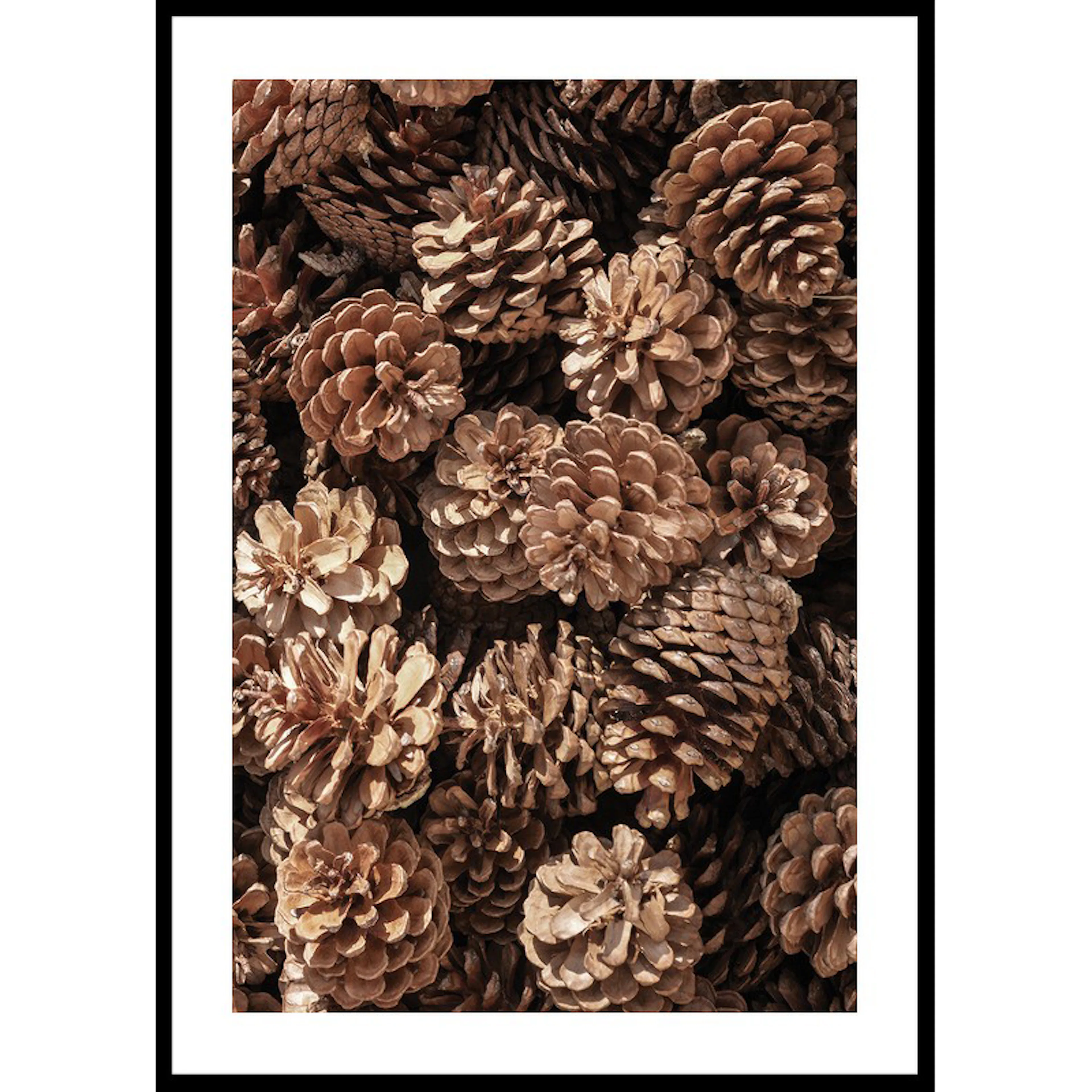 Poster Gallerix Fir Cones Close Up
