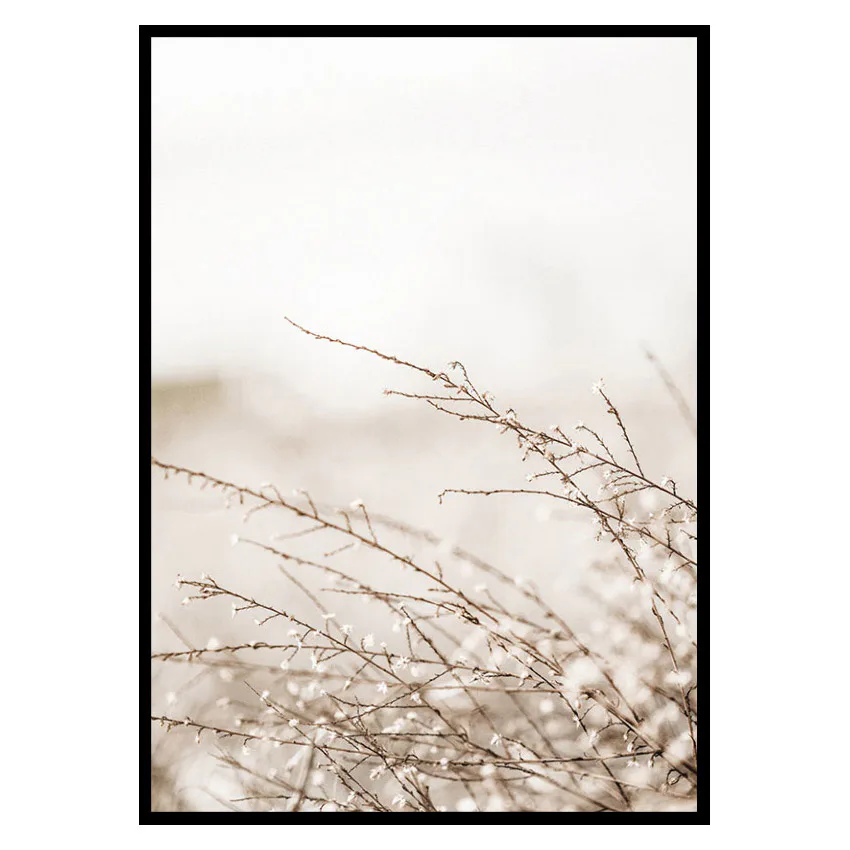 Poster Gallerix Branches