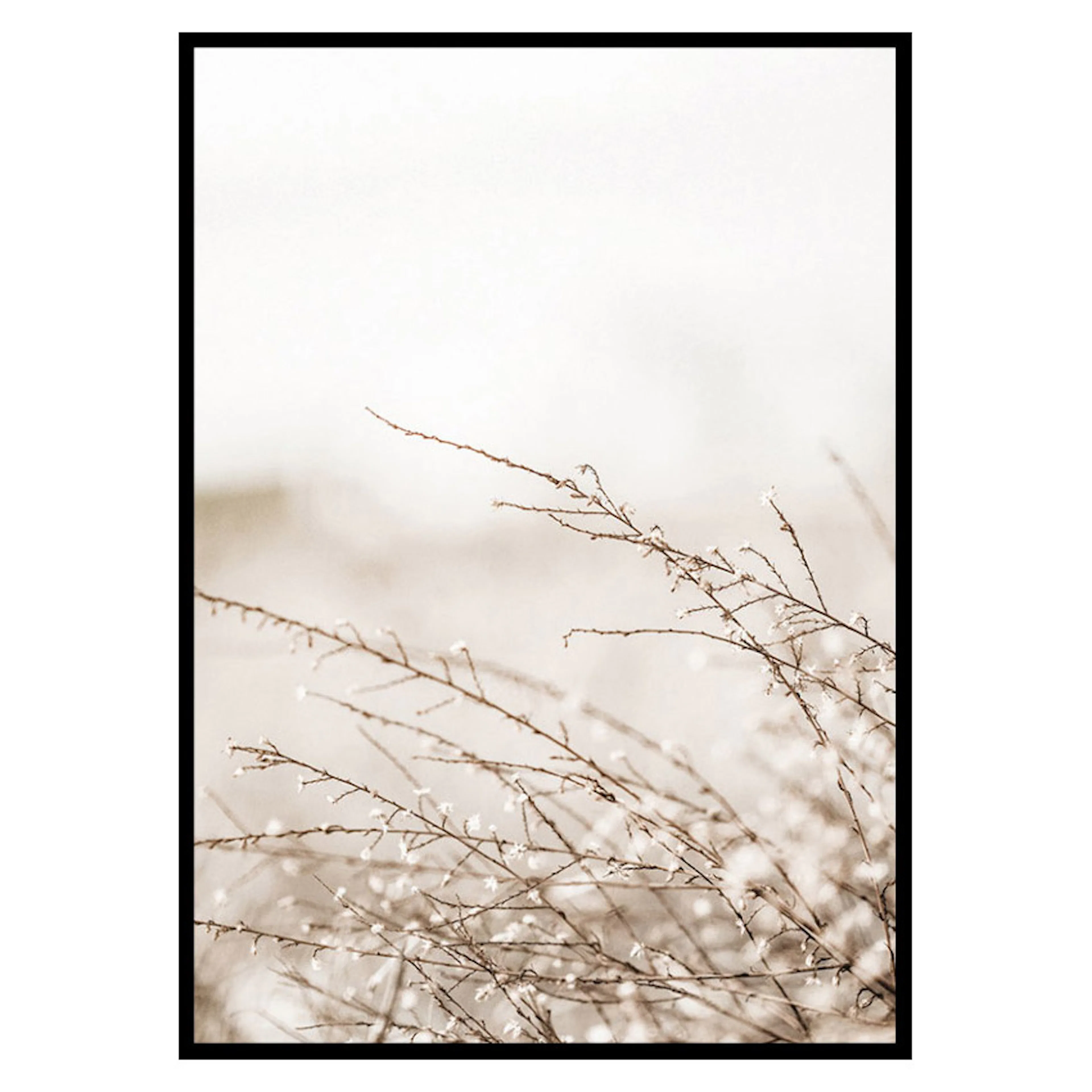 Poster Gallerix Branches