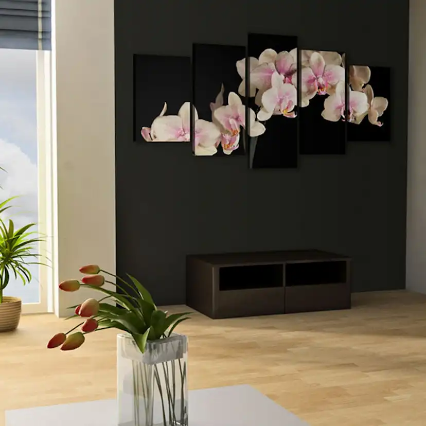 Tavla Arkiio An Orchid On A Contrasting Background