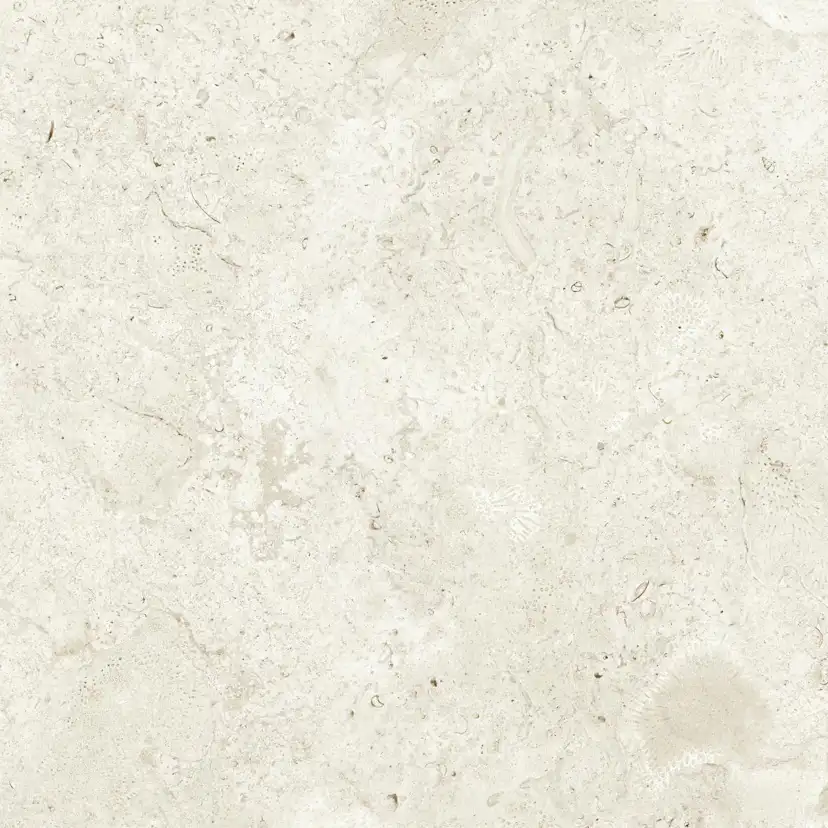 Klinker Tenfors Coralina Bone Matt 60x60 cm