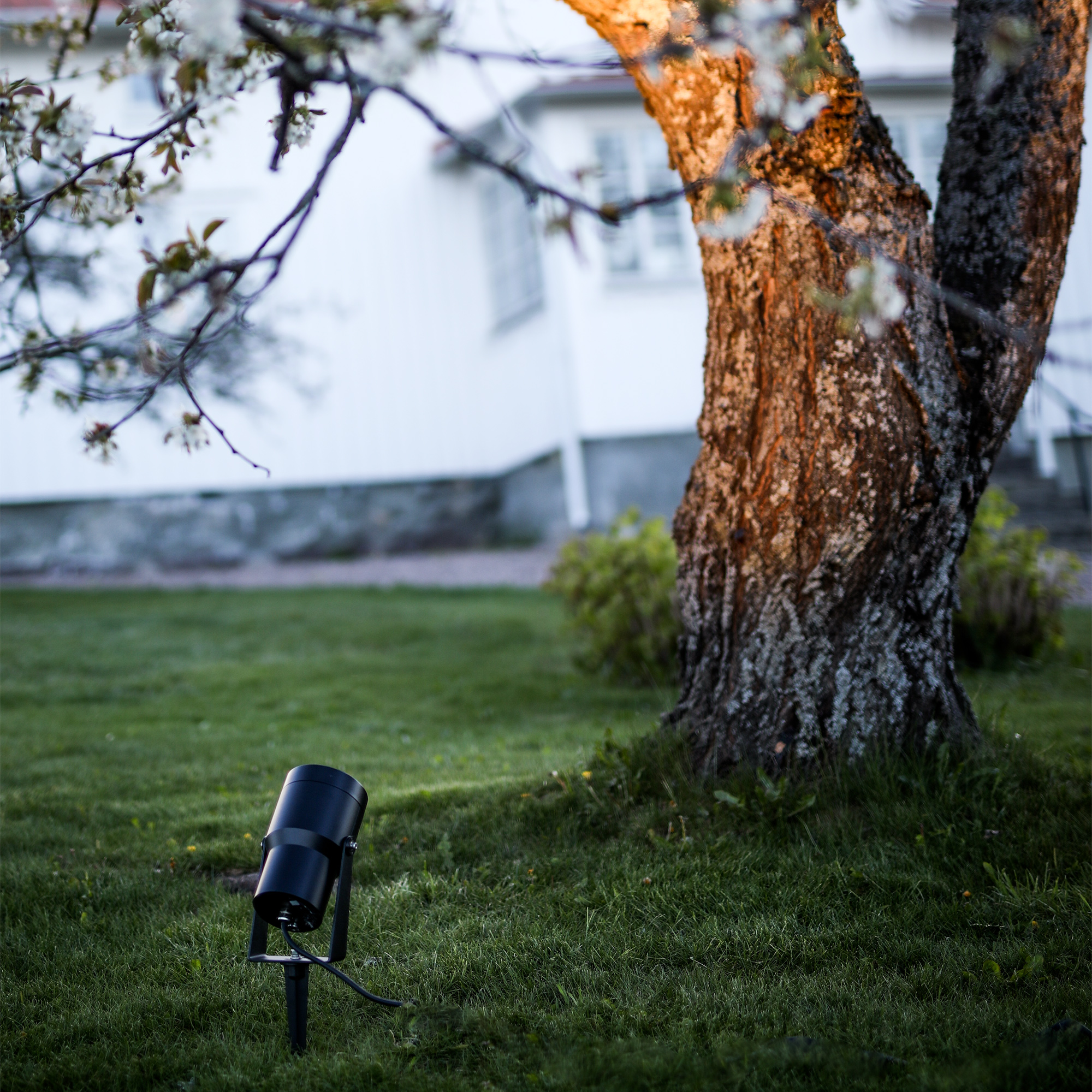 Markspett Spot It Hide-A-Lite Svart