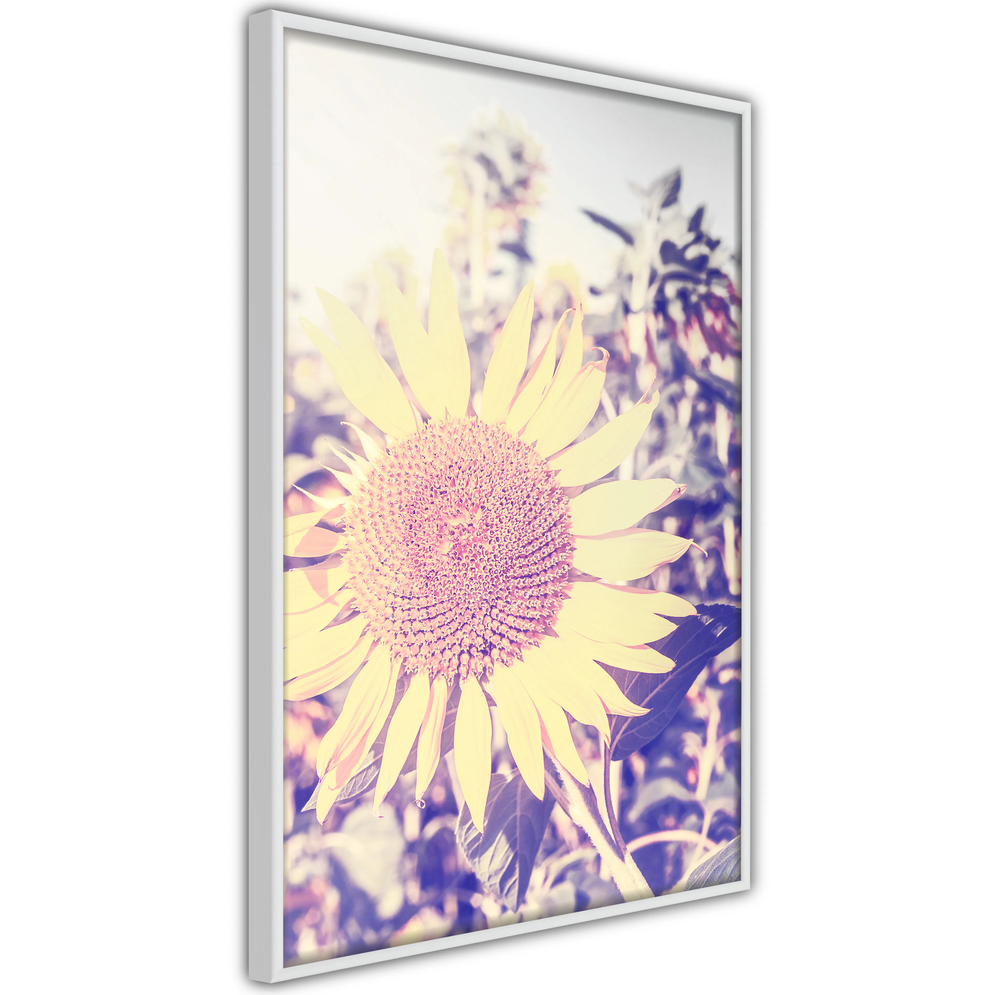 Poster Artgeist Affisch Sunflower