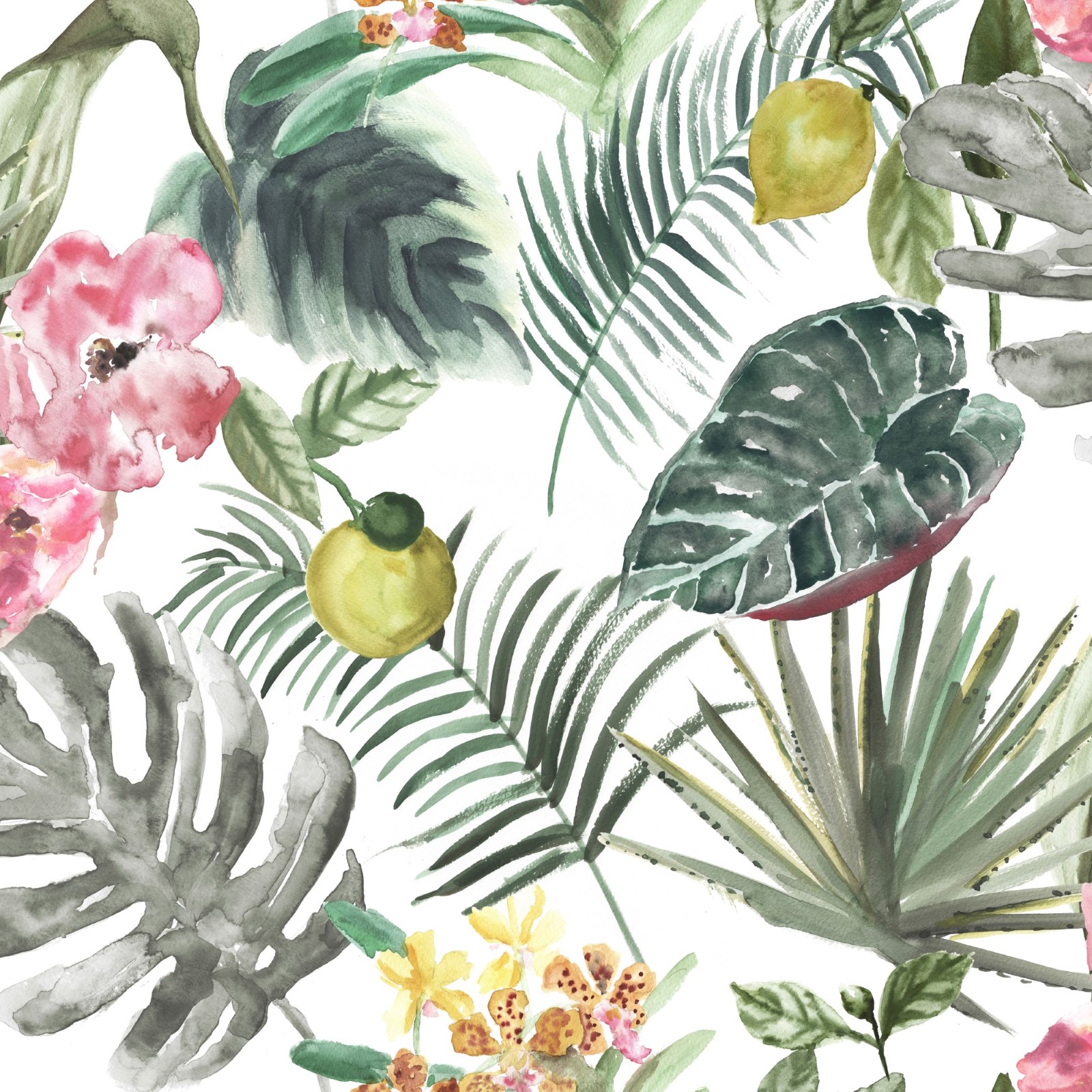 Tapet WOW Tropics