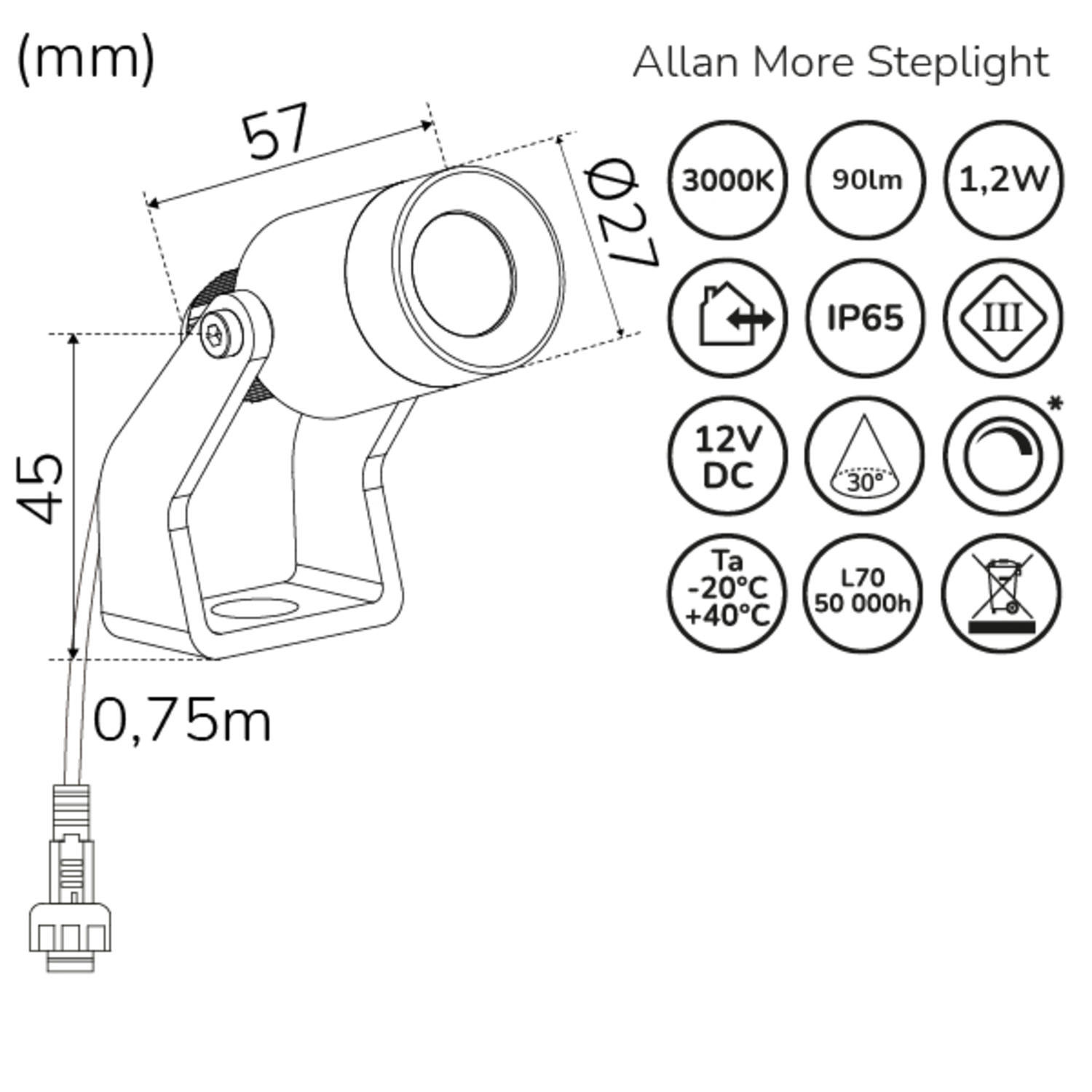 Spotlight Llitt Allan More