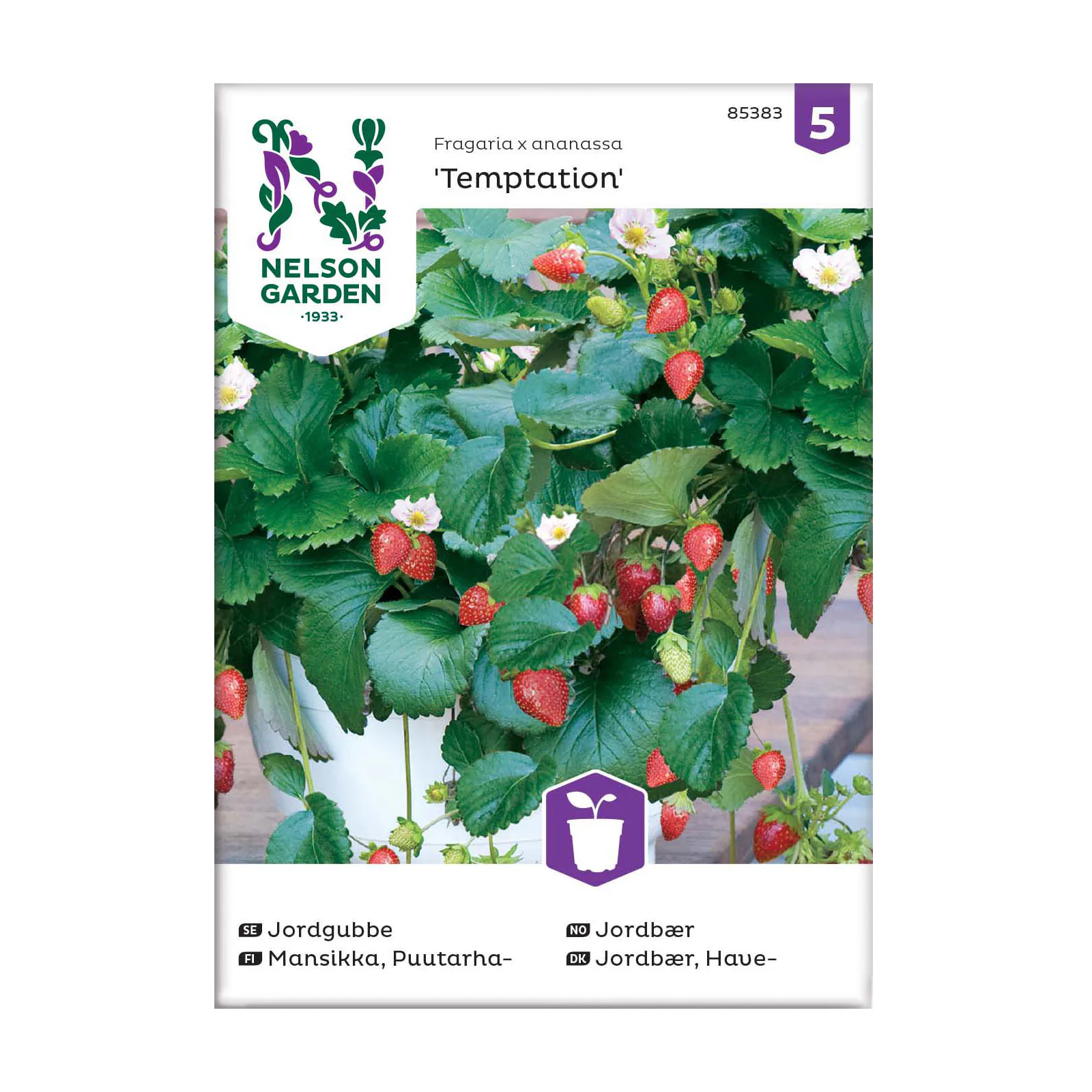 Frö Jordgubbe Nelson Garden Temptation
