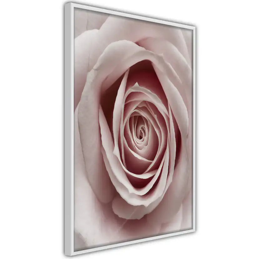Poster Artgeist Affisch Pastel Rose