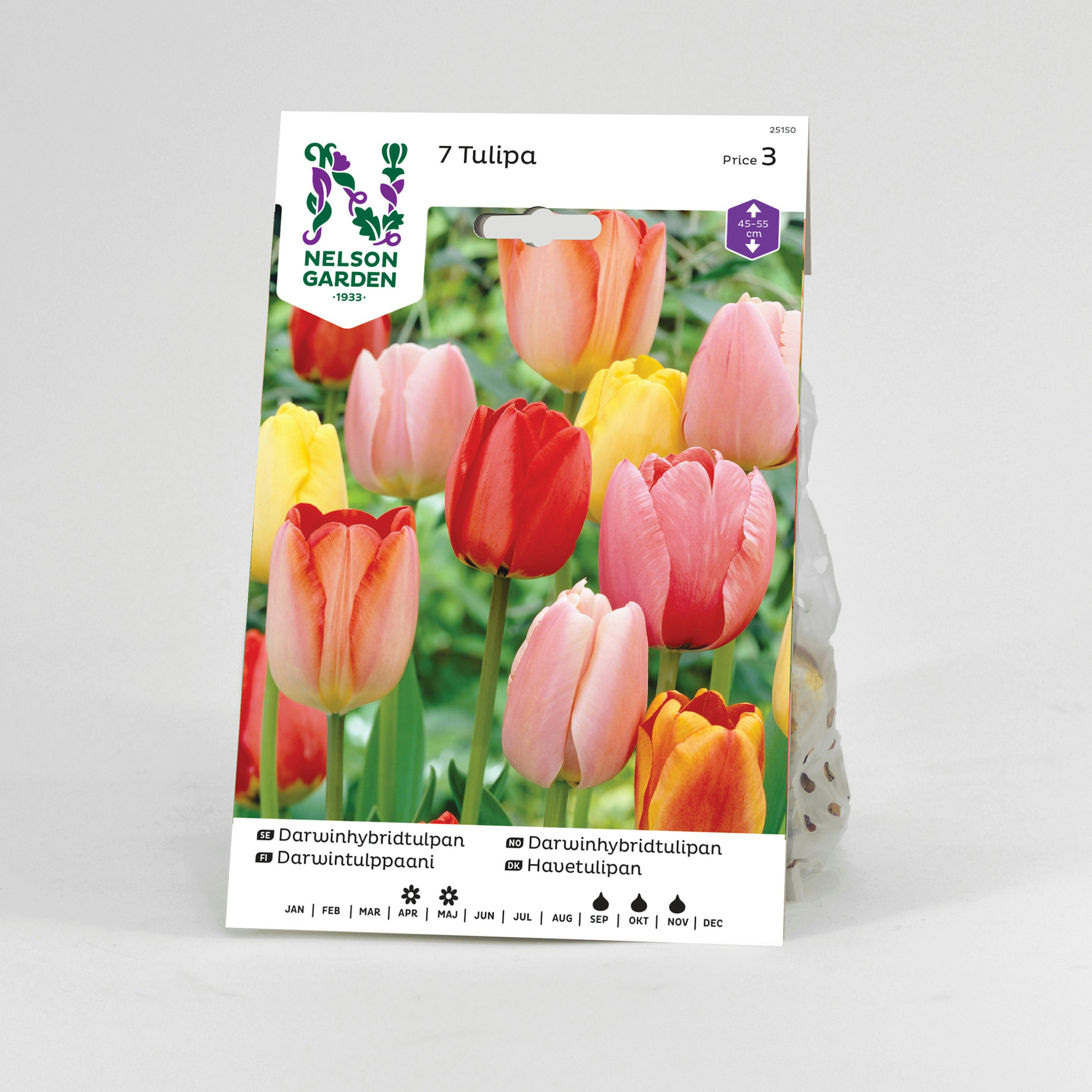 Tulpan Nelson Garden Darwin Blandade Färger