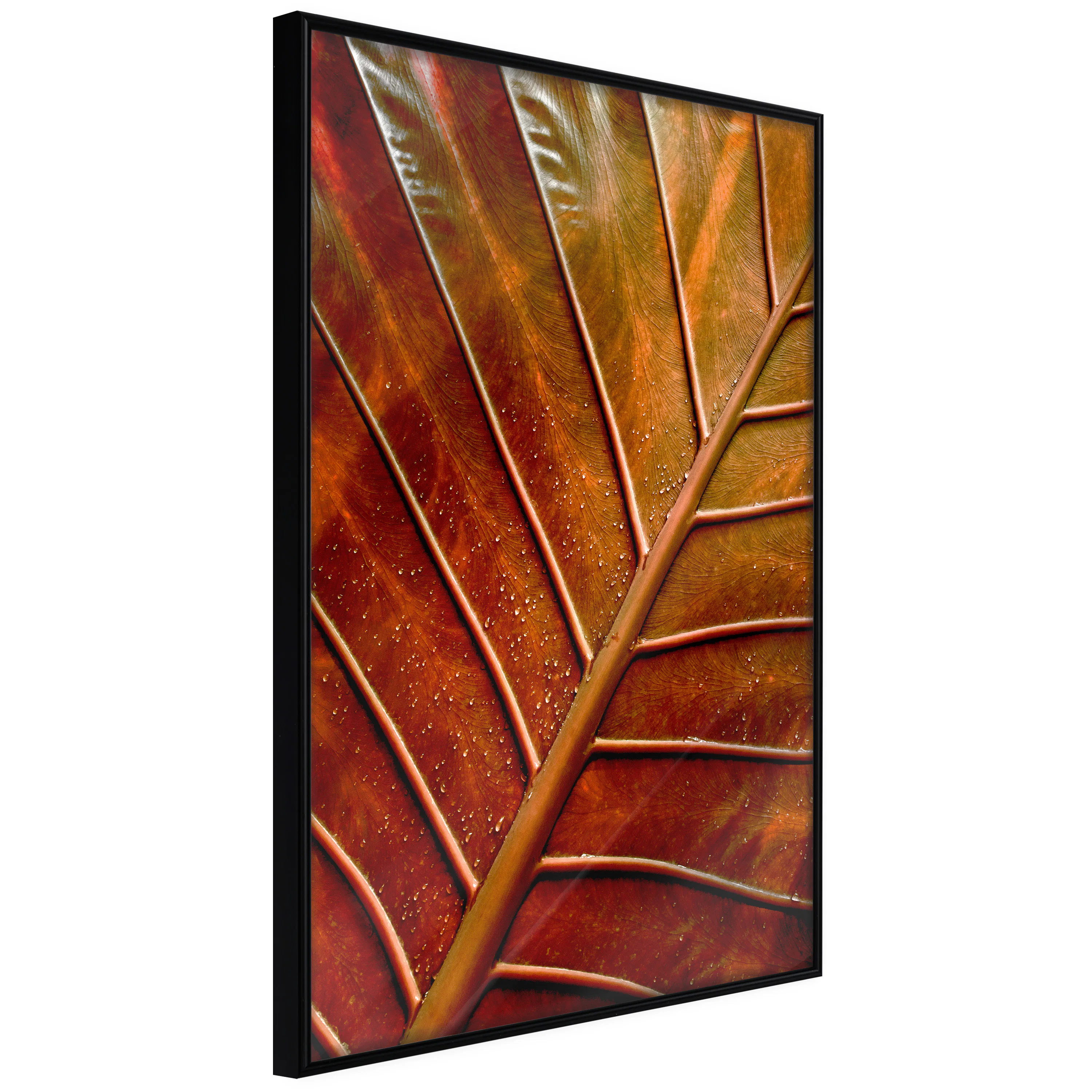 Poster Artgeist Affisch September Twilight