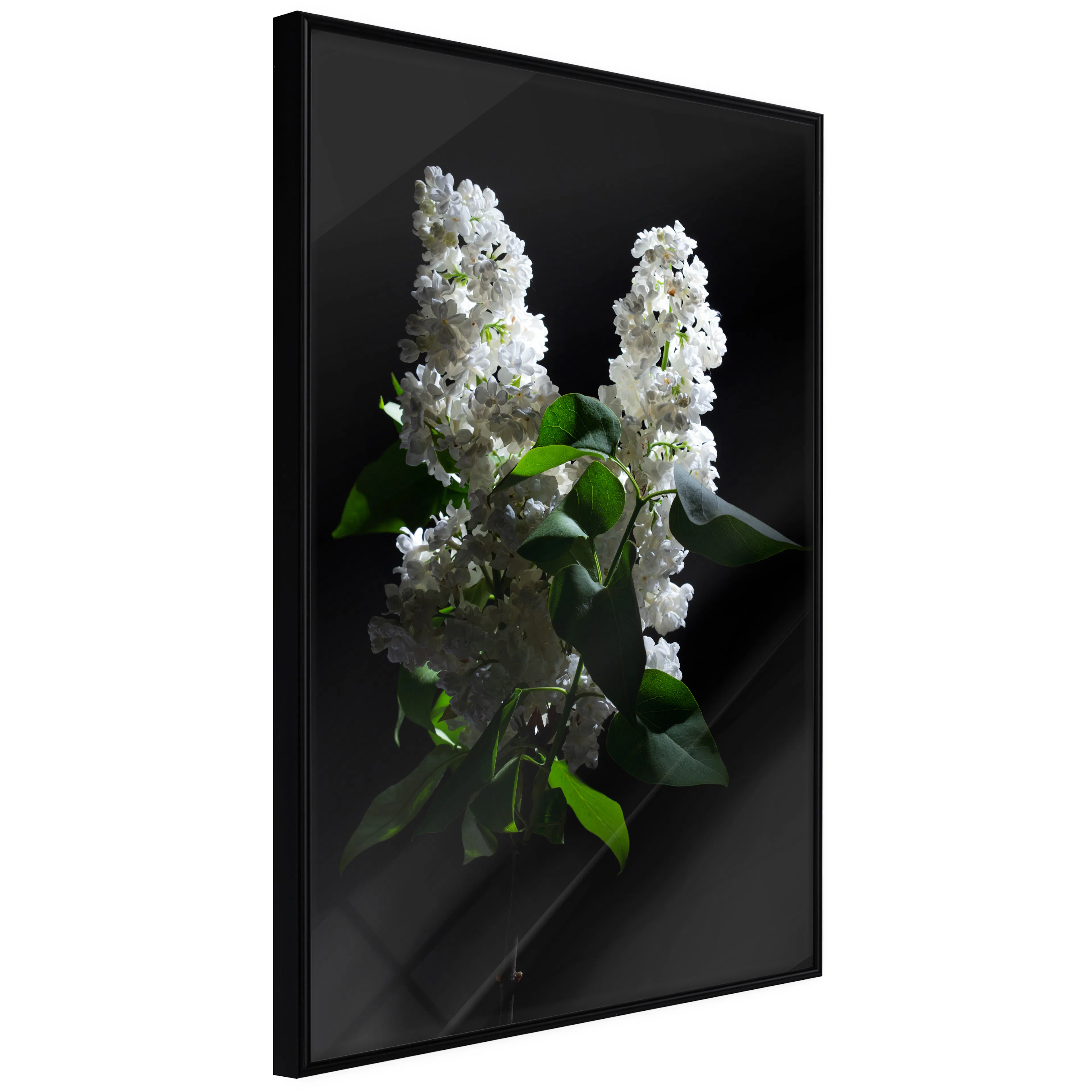 Affisch - Lilacs at Night [Poster] 40x60 Svart ram, 40x60 cm