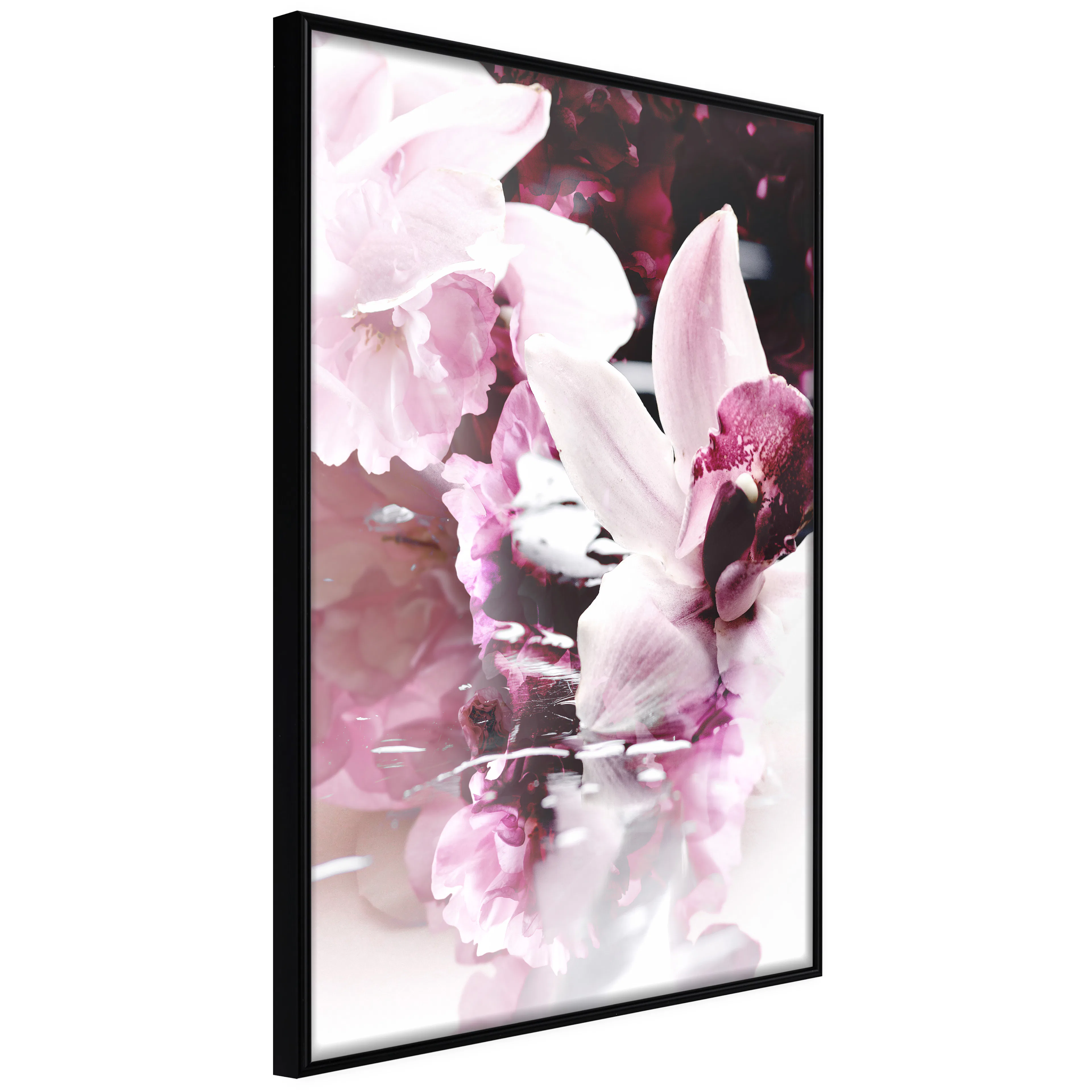 Affisch - Sleepy Orchid [Poster] 40x60 Svart ram, 40x60 cm