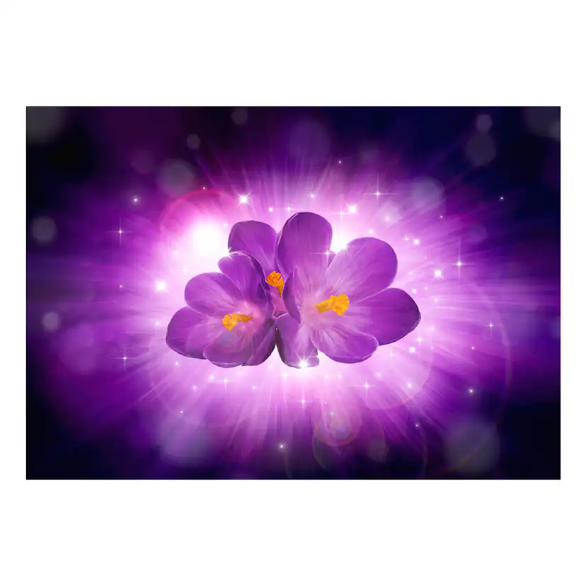Fototapet Arkiio Breath Of Spring