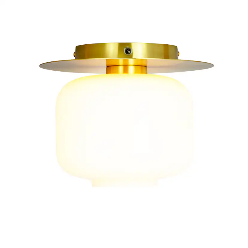 Taklampa Dyberg Larsen Arp