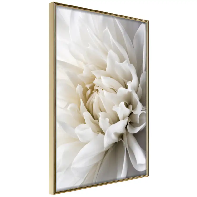 Poster Artgeist Affisch White Dahlia