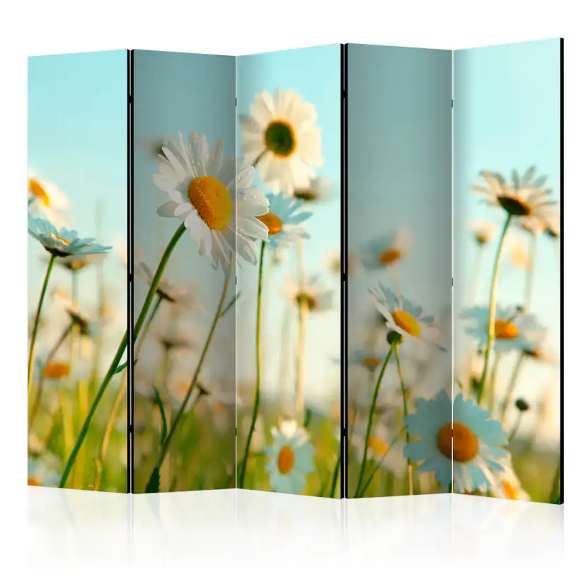 Rumsavdelare Arkiio Daisies Spring Meadow II 225x172 cm