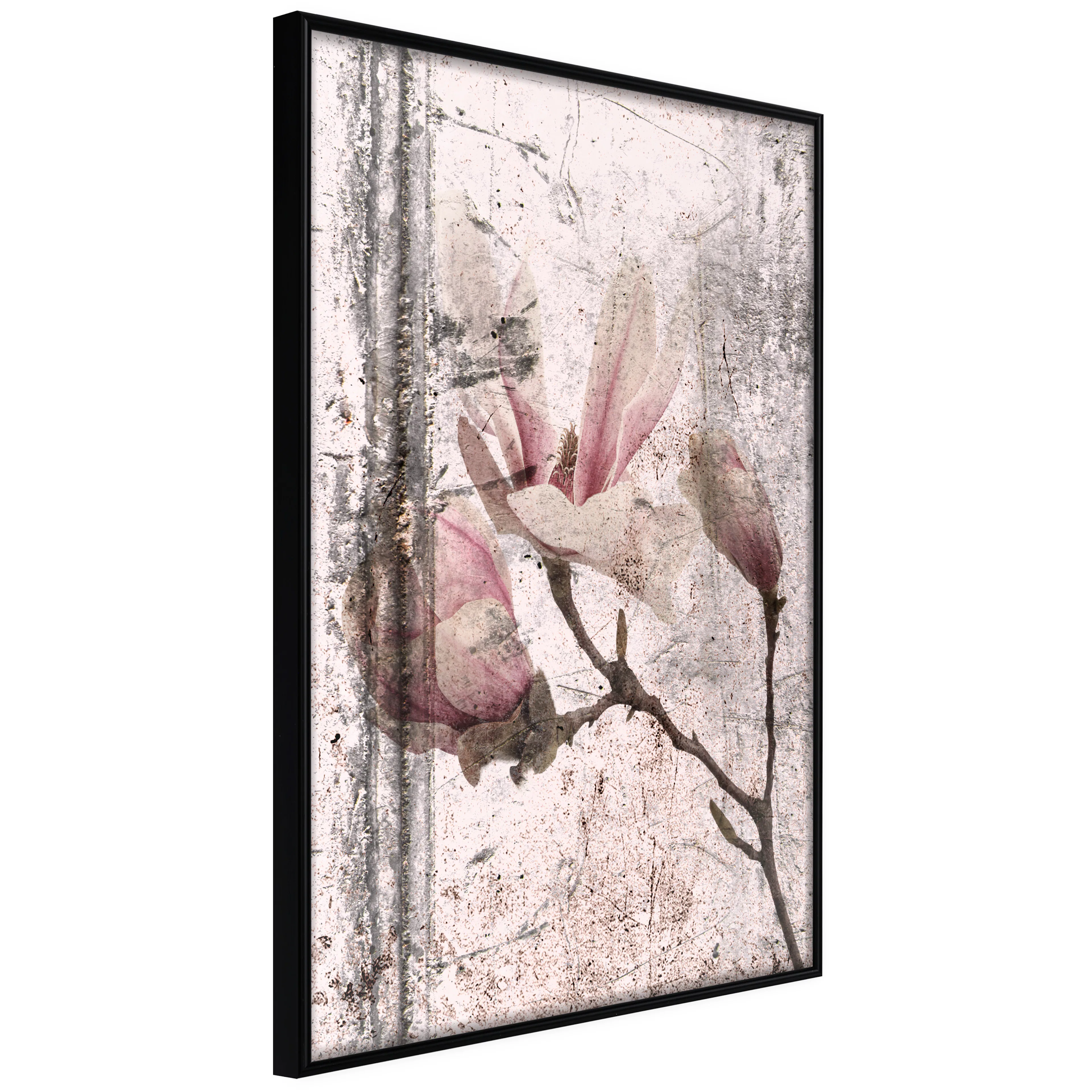 Affisch - Exquisite Magnolia [Poster] 40x60 Svart ram, 40x60 cm