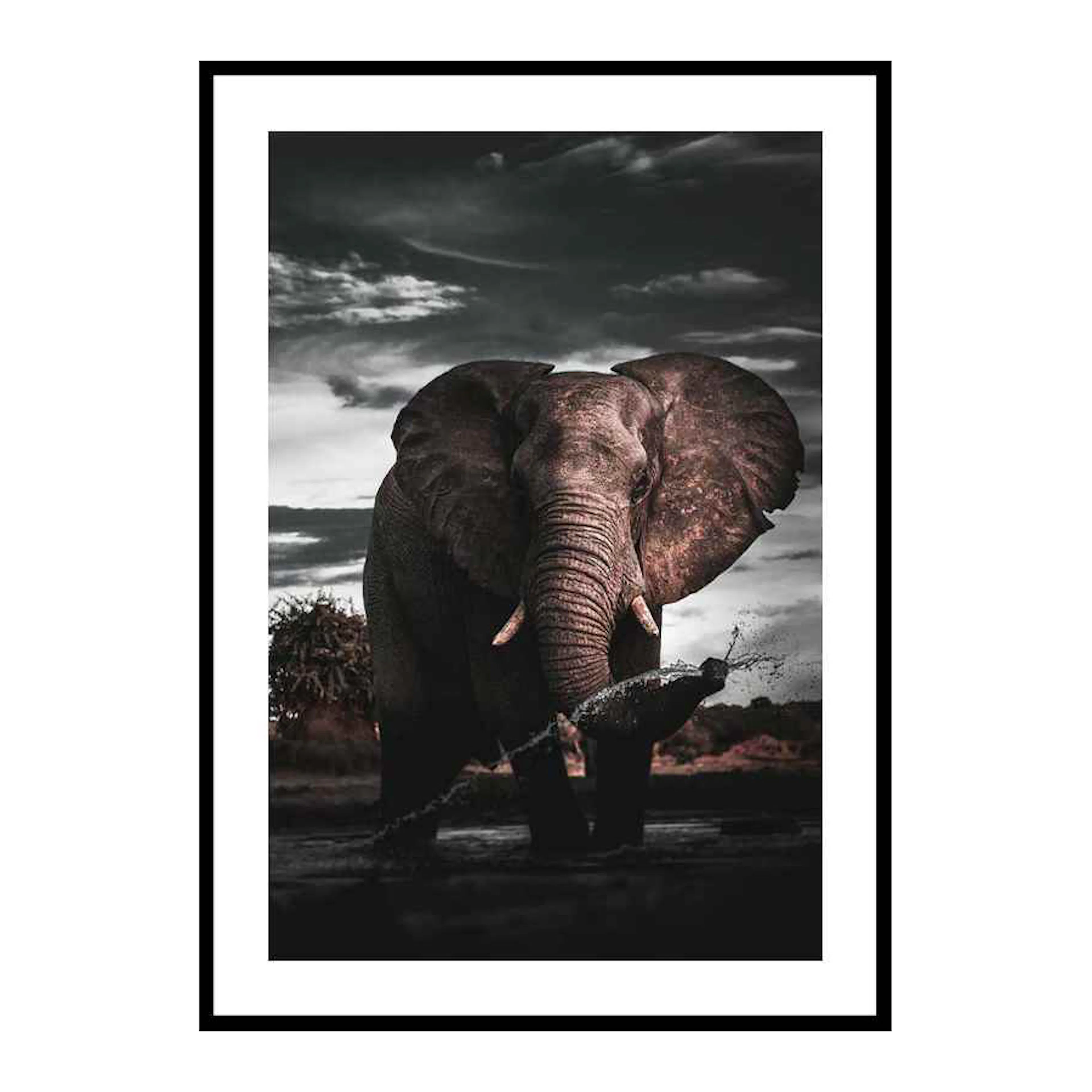 African Elephant 30x40 cm