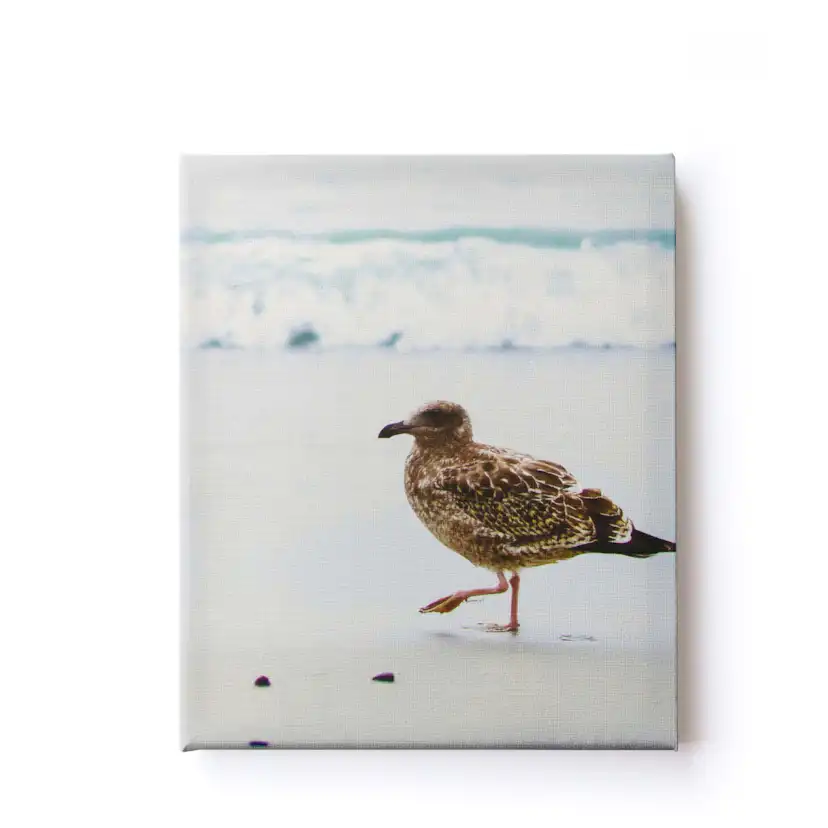 Canvastavla Art For The Home Set av 5 Utsikt över havet 60x80cm