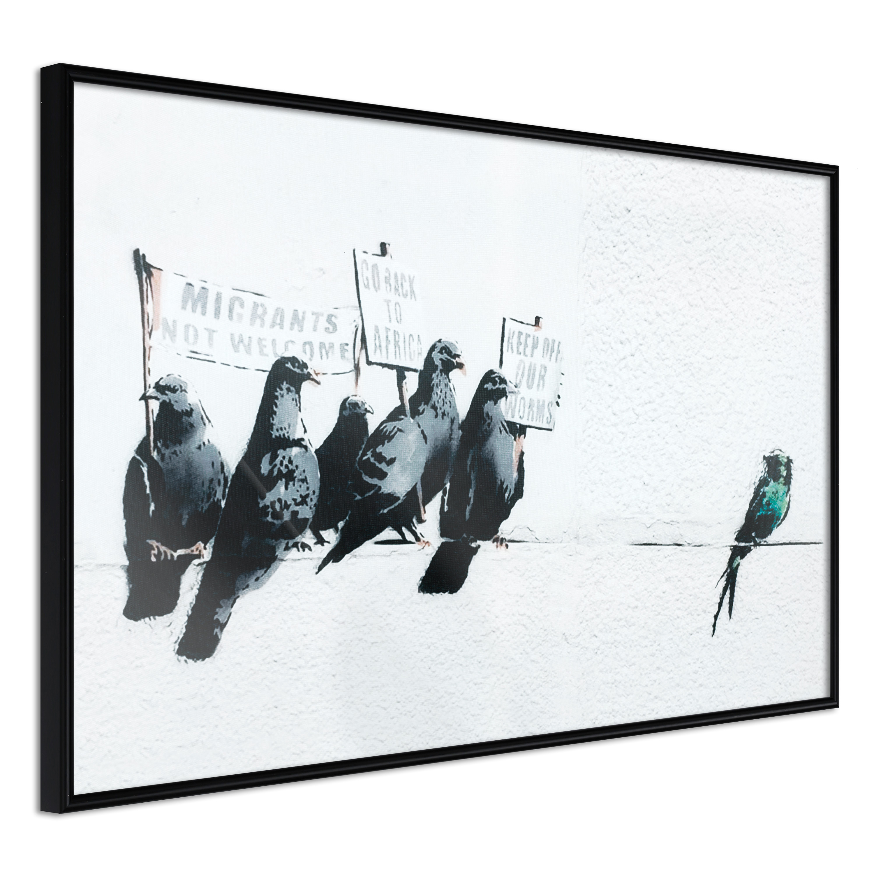 Affisch - Xenophobic Pigeons [Poster] 60x40 Svart ram, 60x40 cm