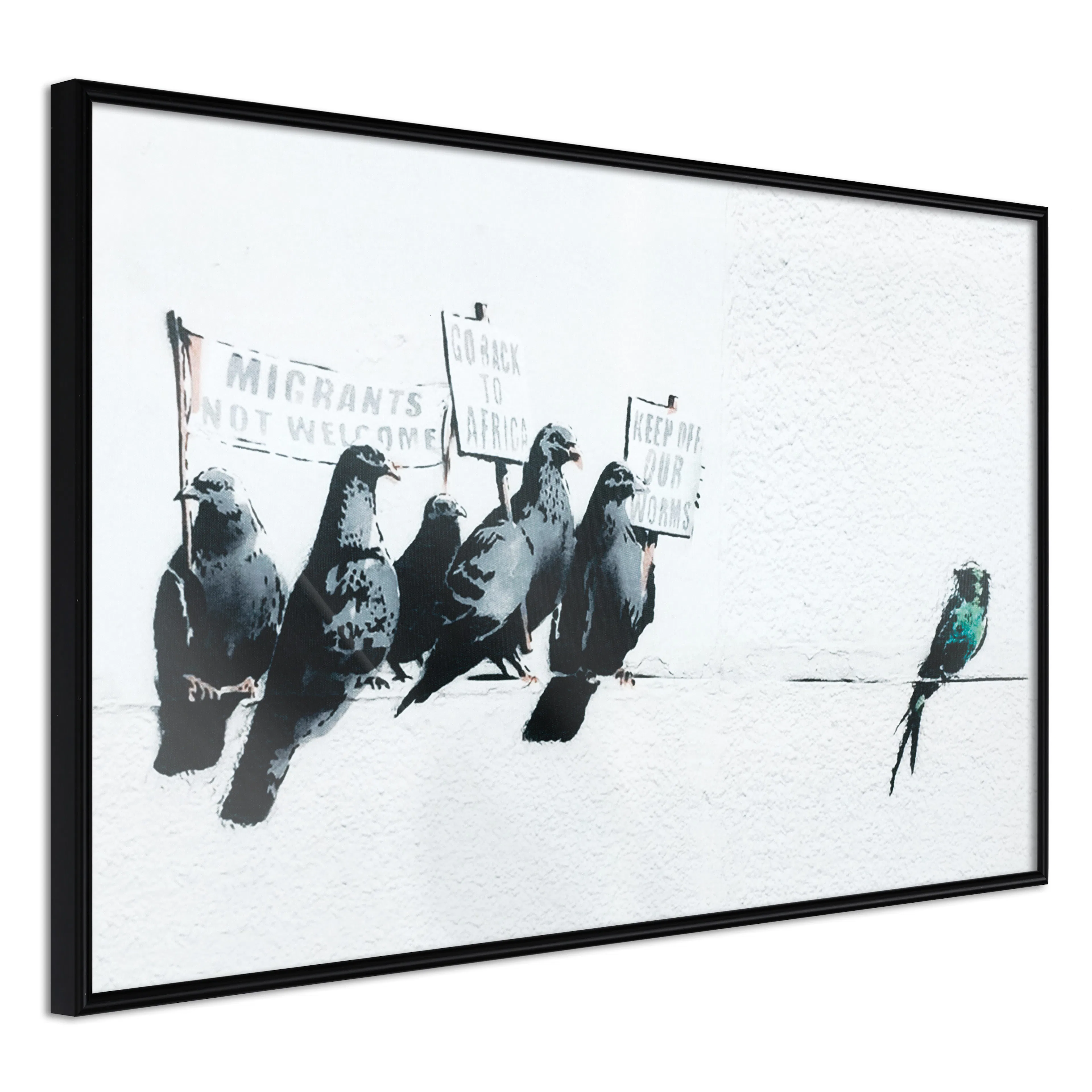Affisch - Xenophobic Pigeons [Poster] 60x40 Svart ram, 60x40 cm