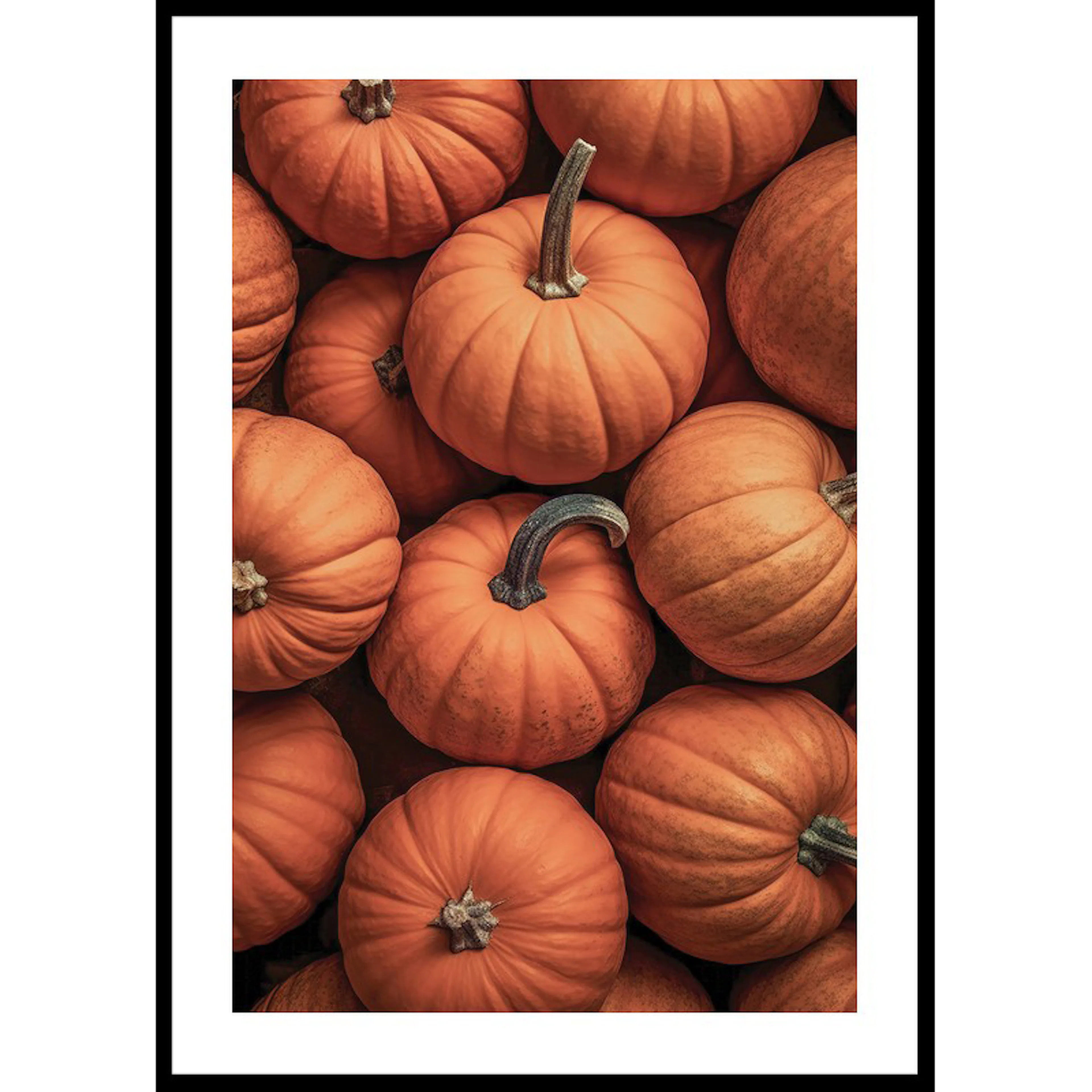 Poster Gallerix Pumpkins