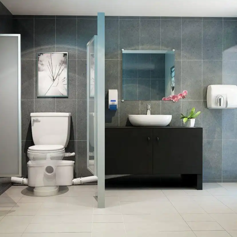 Avloppspump Saniflo Saniaccess 2