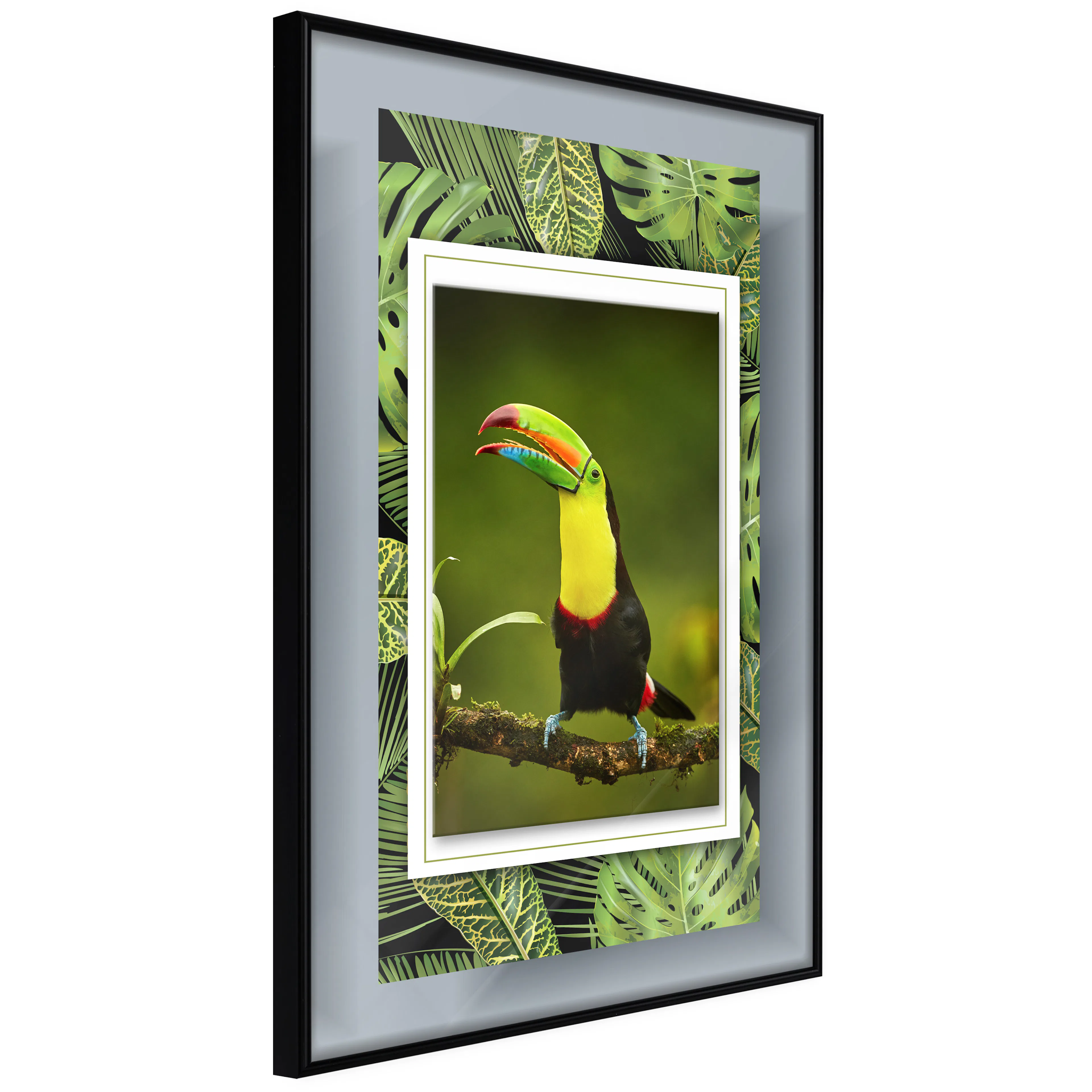Affisch - Toucan [Poster] 40x60 Svart ram, 40x60 cm