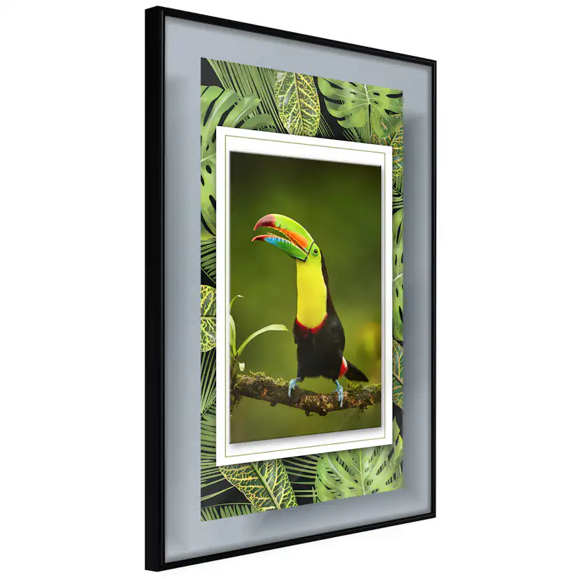 Poster Artgeist Affisch Toucan