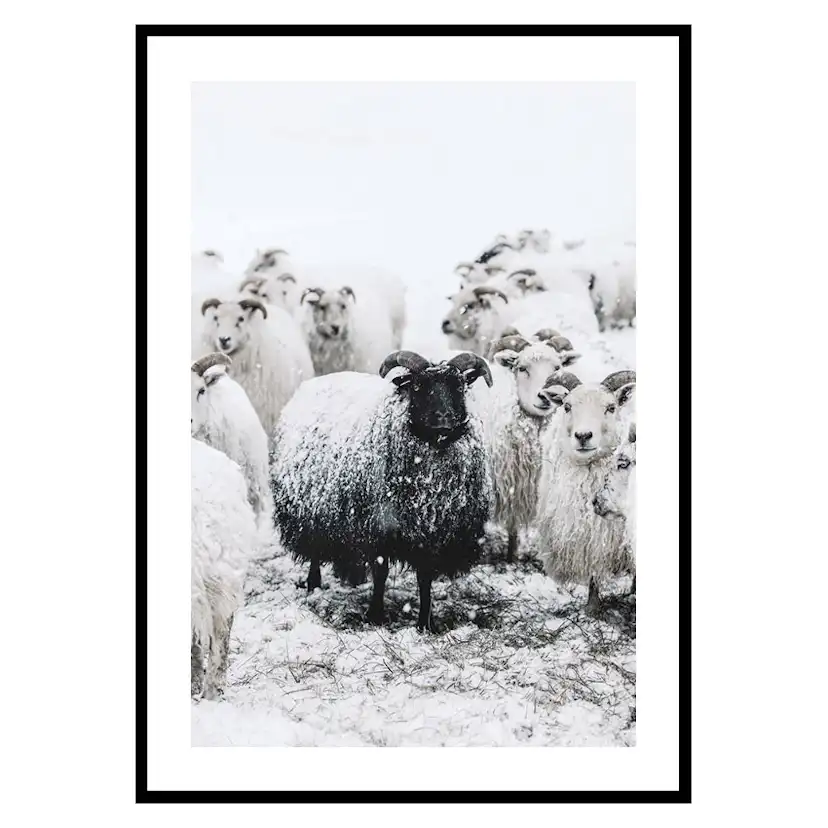 Poster Gallerix Winter Sheep