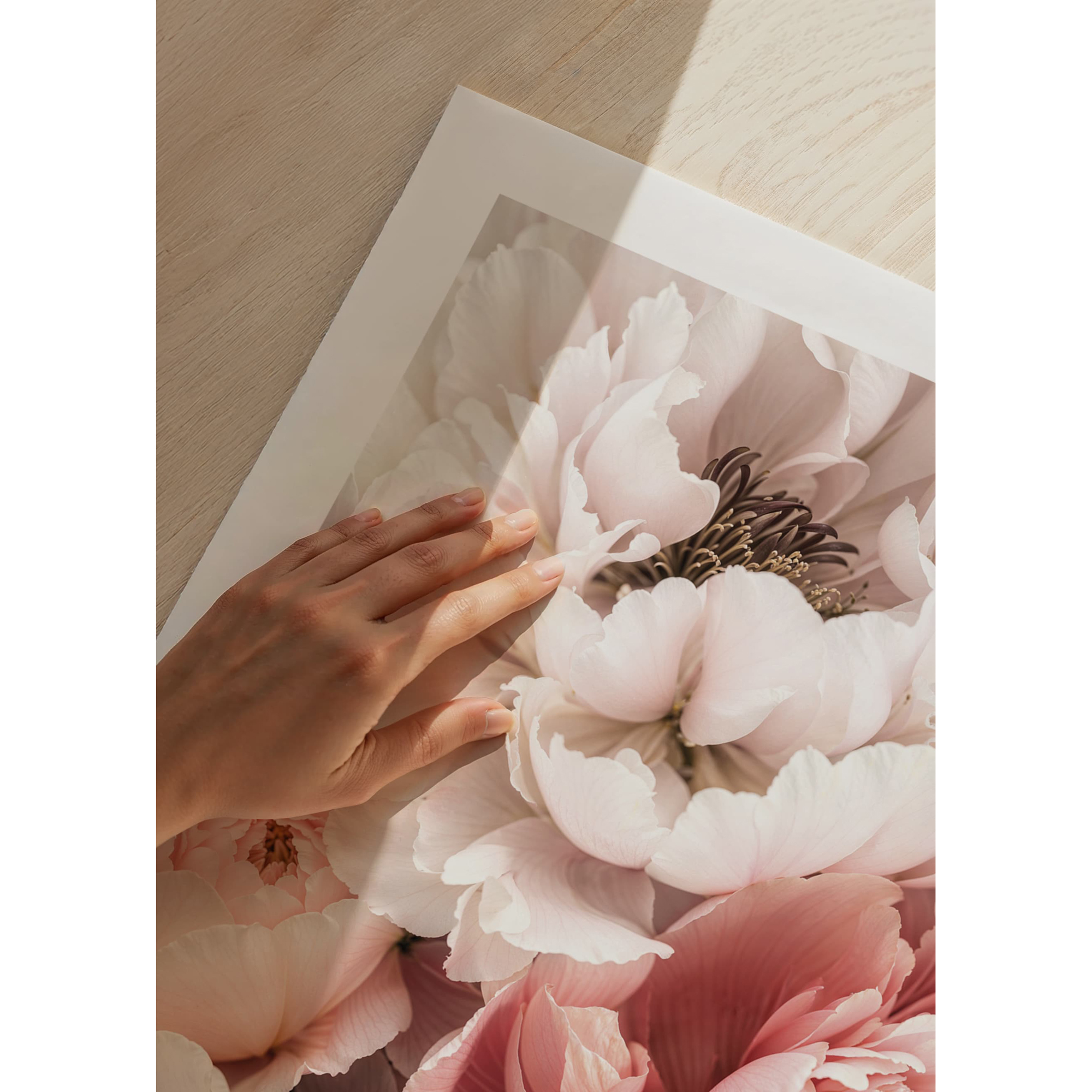 Poster Gallerix Blushing Petals