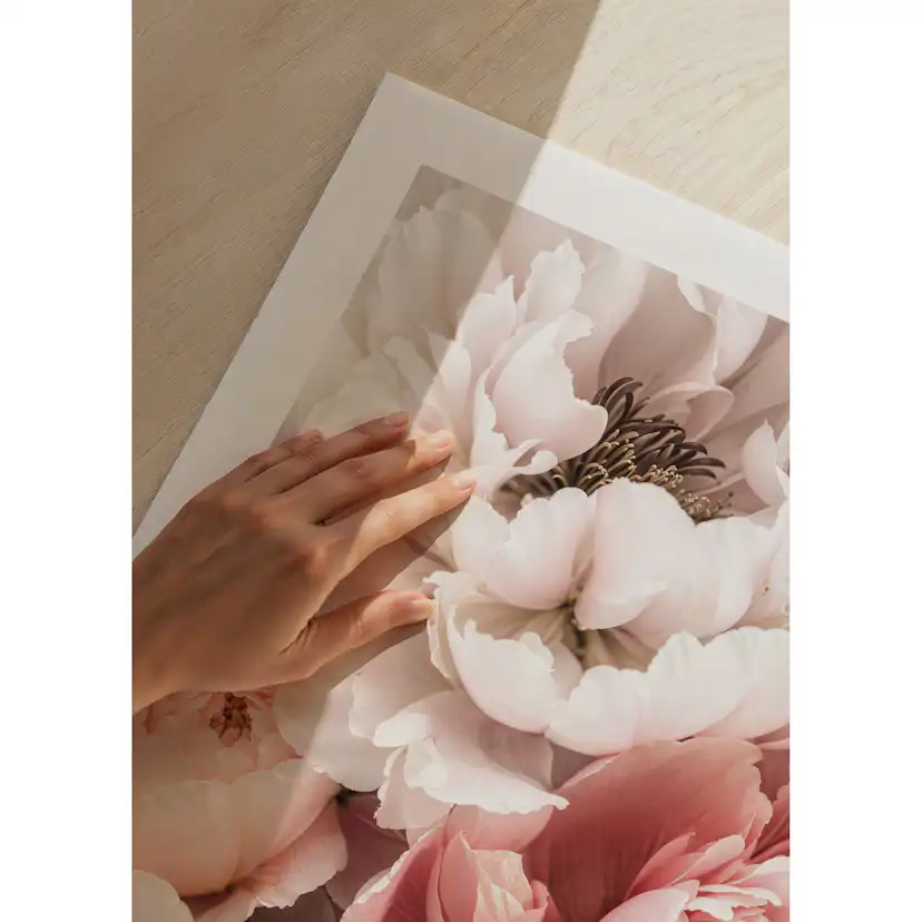 Poster Gallerix Blushing Petals