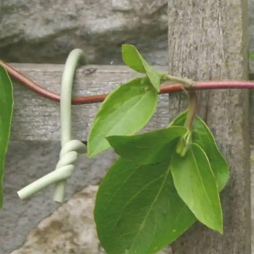 Uppbindning Omnia Garden Slim Soft Tie 8m