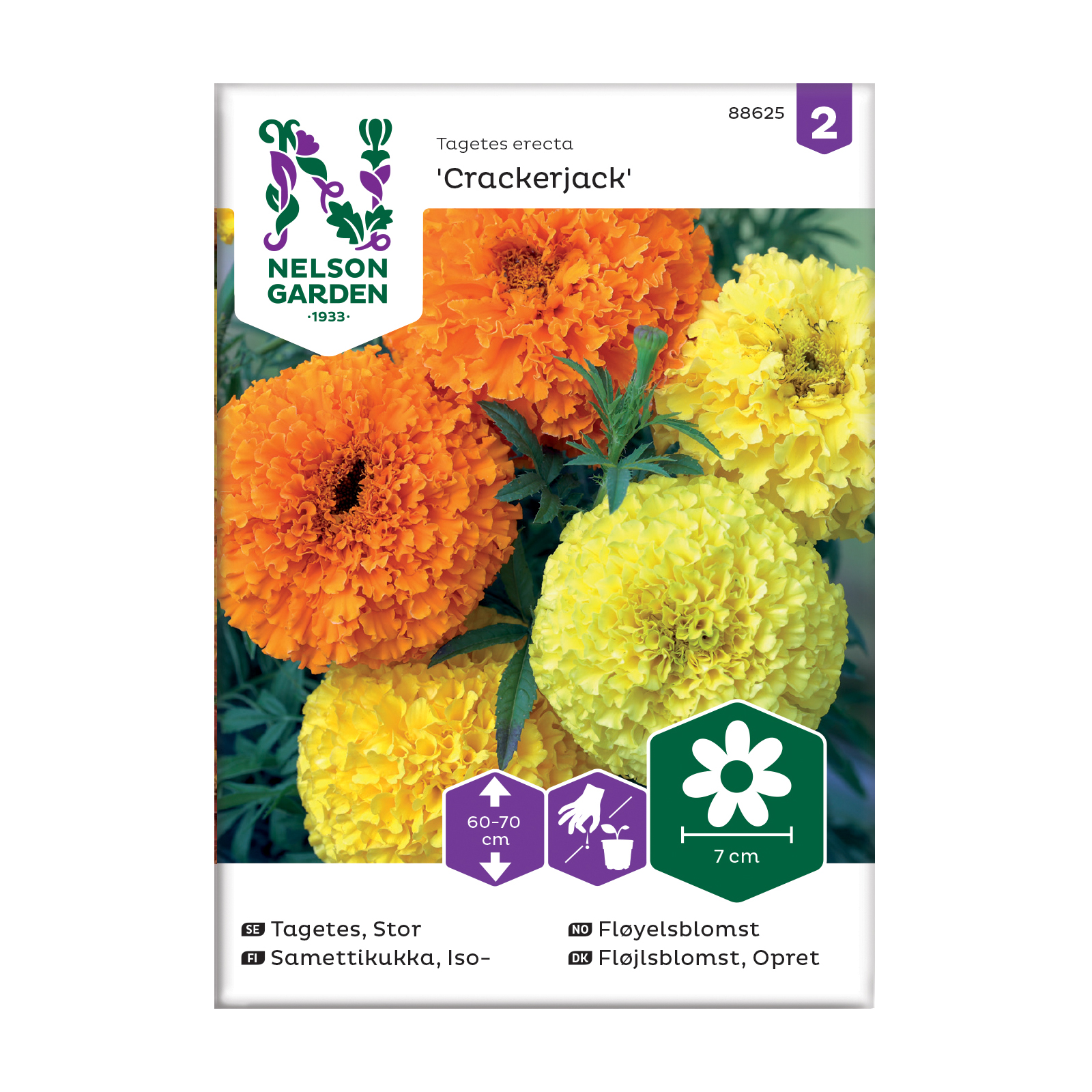 Frö Tagetes Nelson Garden Crackerjack stor