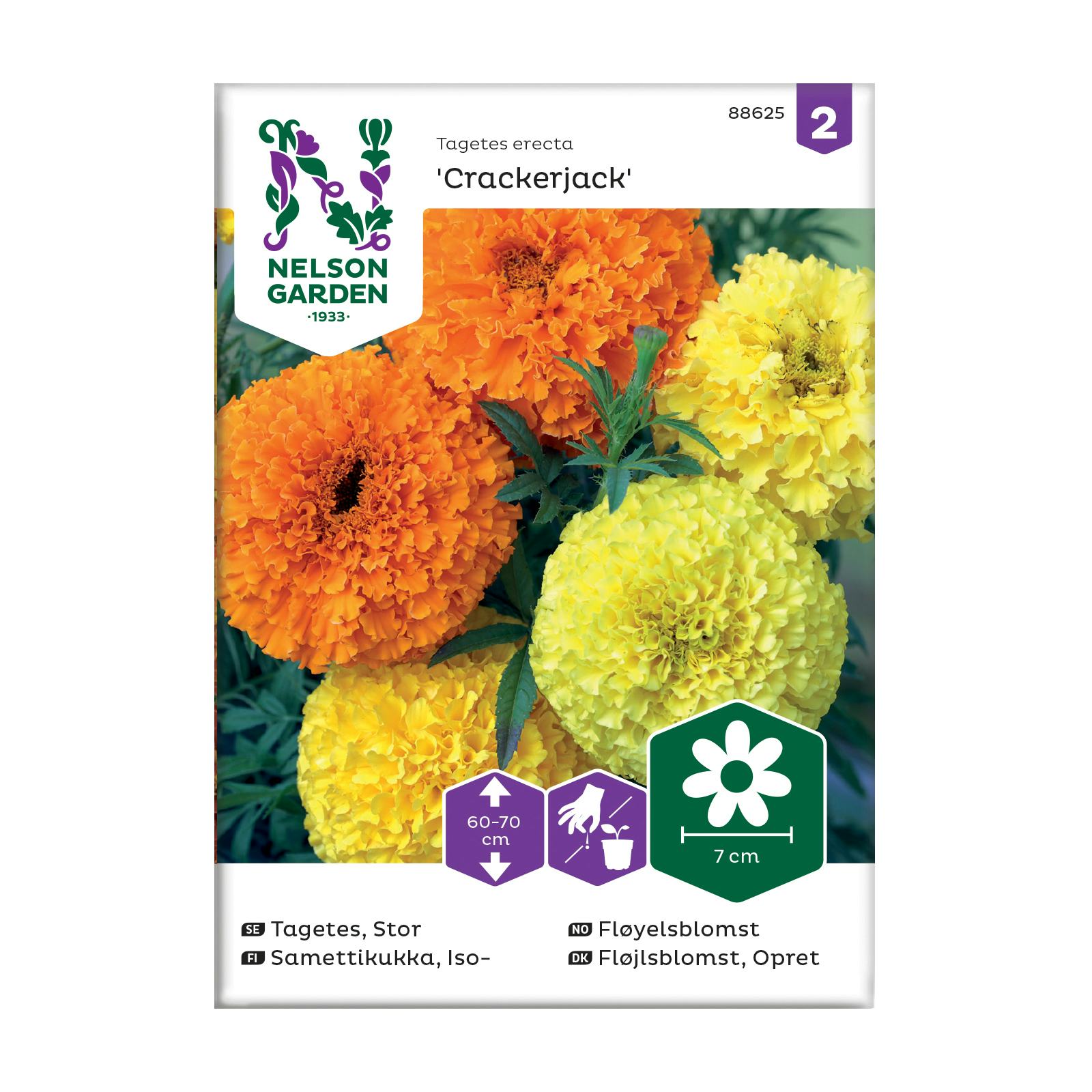 Frö Tagetes Nelson Garden Crackerjack stor