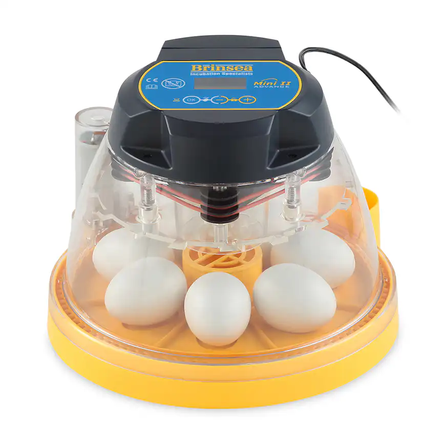 Äggkläckare Brinsea Mini II Advance