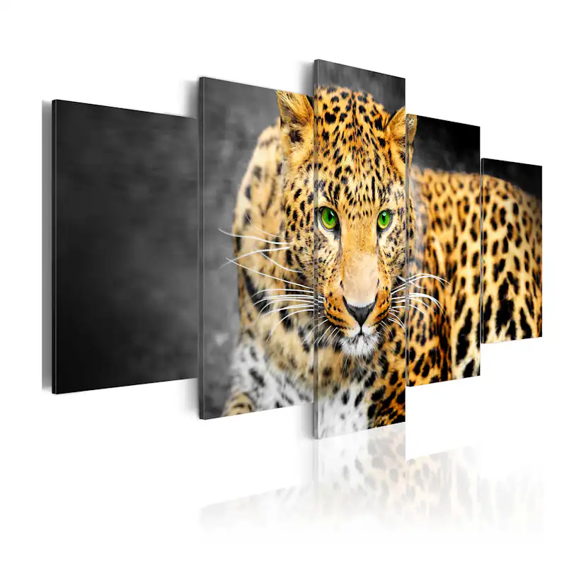 Tavla Arkiio Green Eyed Leopard