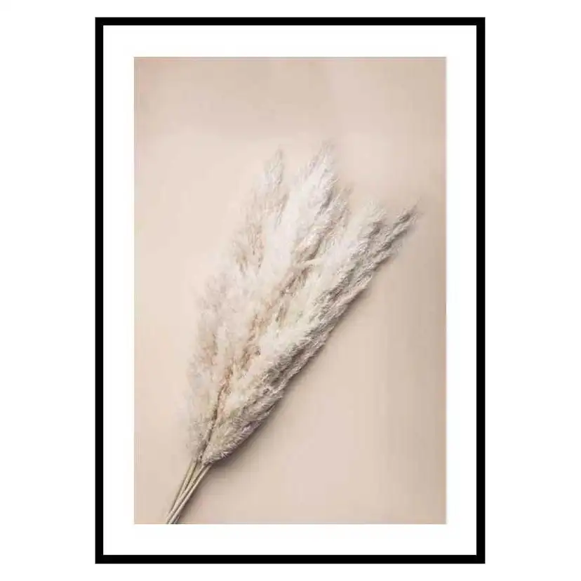 Poster Gallerix Pampas Grass