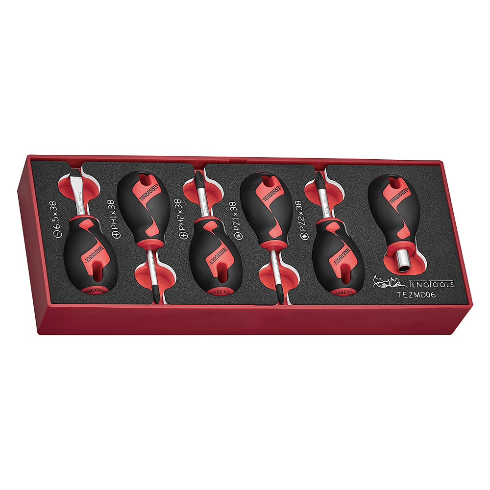 Skruvmejselsats Teng Tools 6-Delar TEZMD06