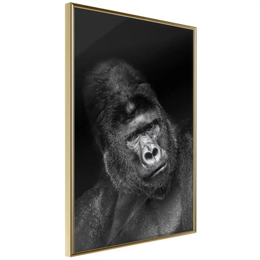 Poster Artgeist Affisch Gorilla