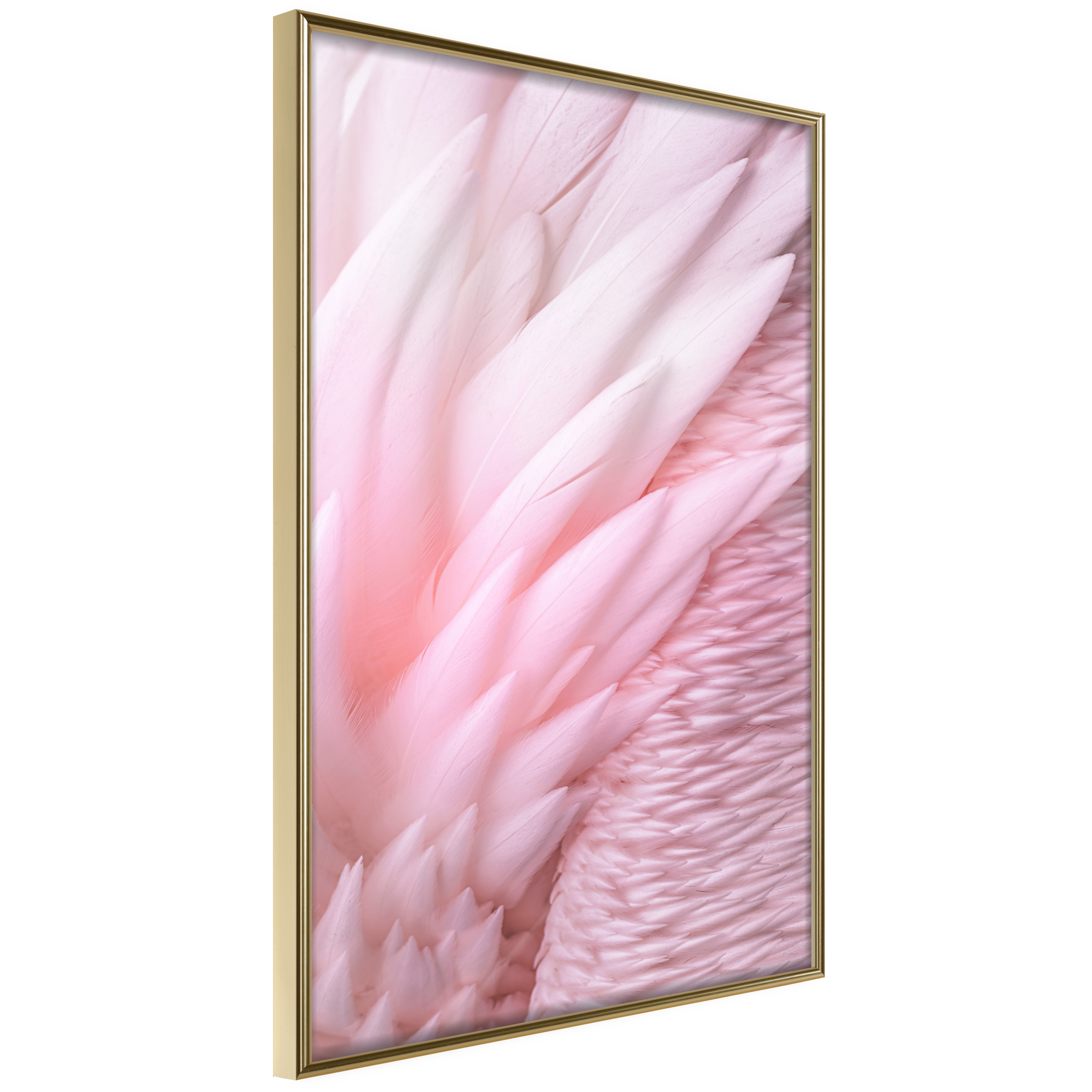 Affisch - Feathers [Poster] 30x45 Guld ram, 30x45 cm