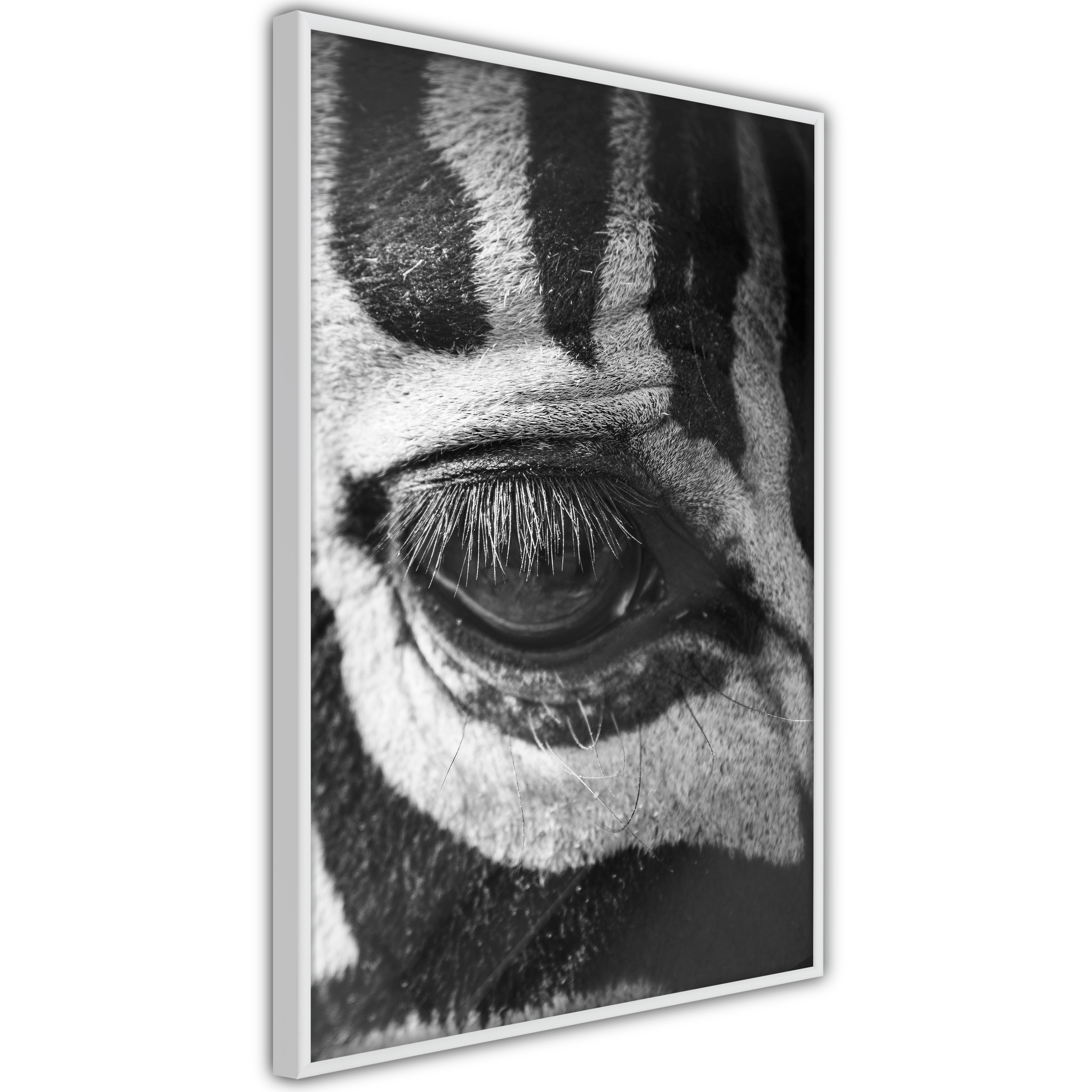 Poster Artgeist Affisch Zebra Eye
